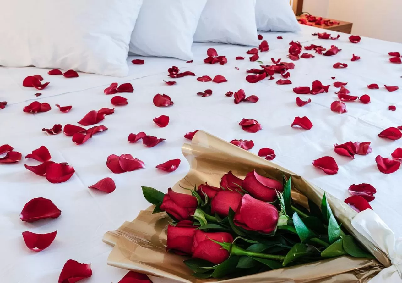 Bedroom, Bed in Hotel Nacional Inn Cambuí Campinas Residence