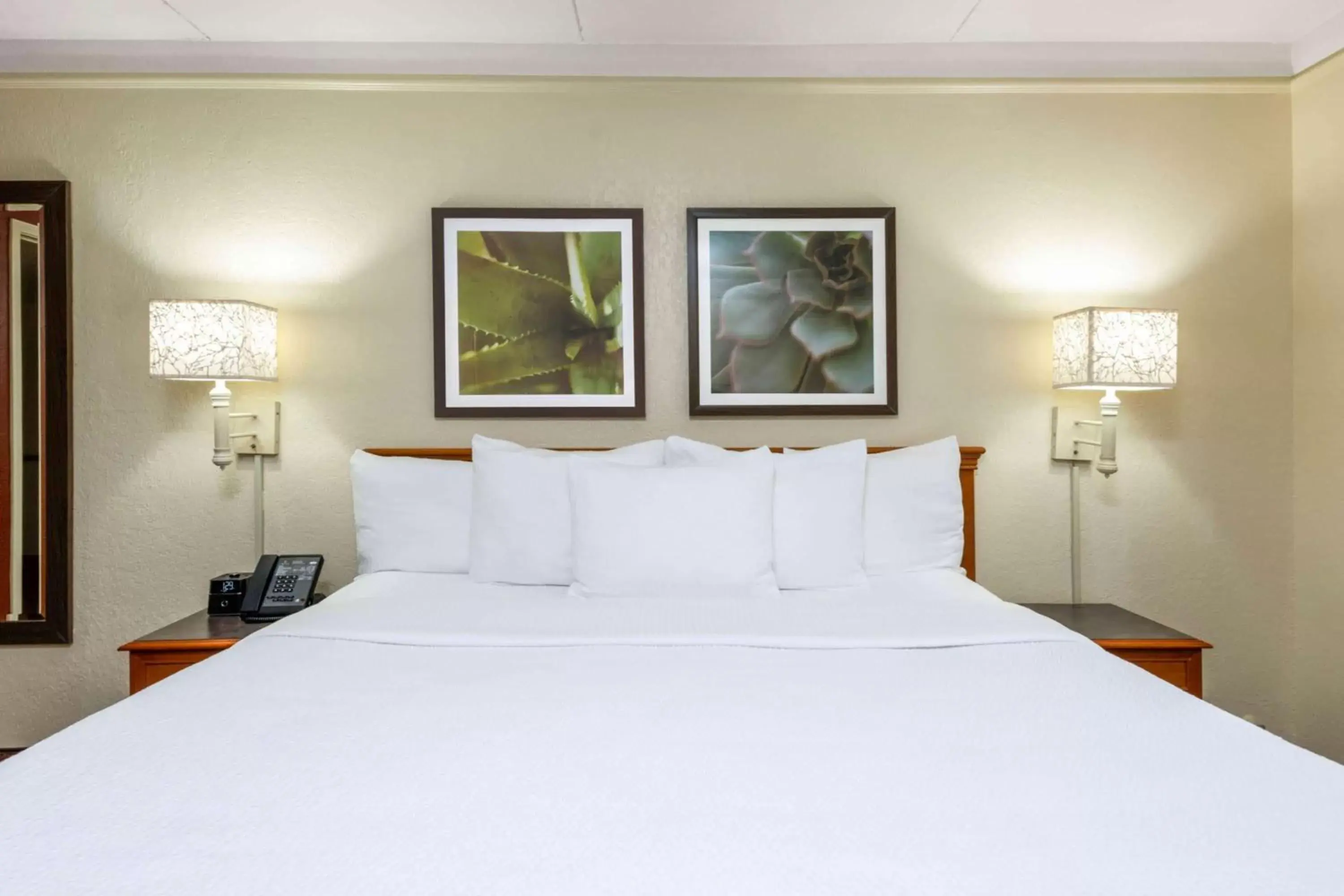 Photo of the whole room, Bed in La Quinta Inn by Wyndham Deerfield Beach I-95 at Hillsboro E