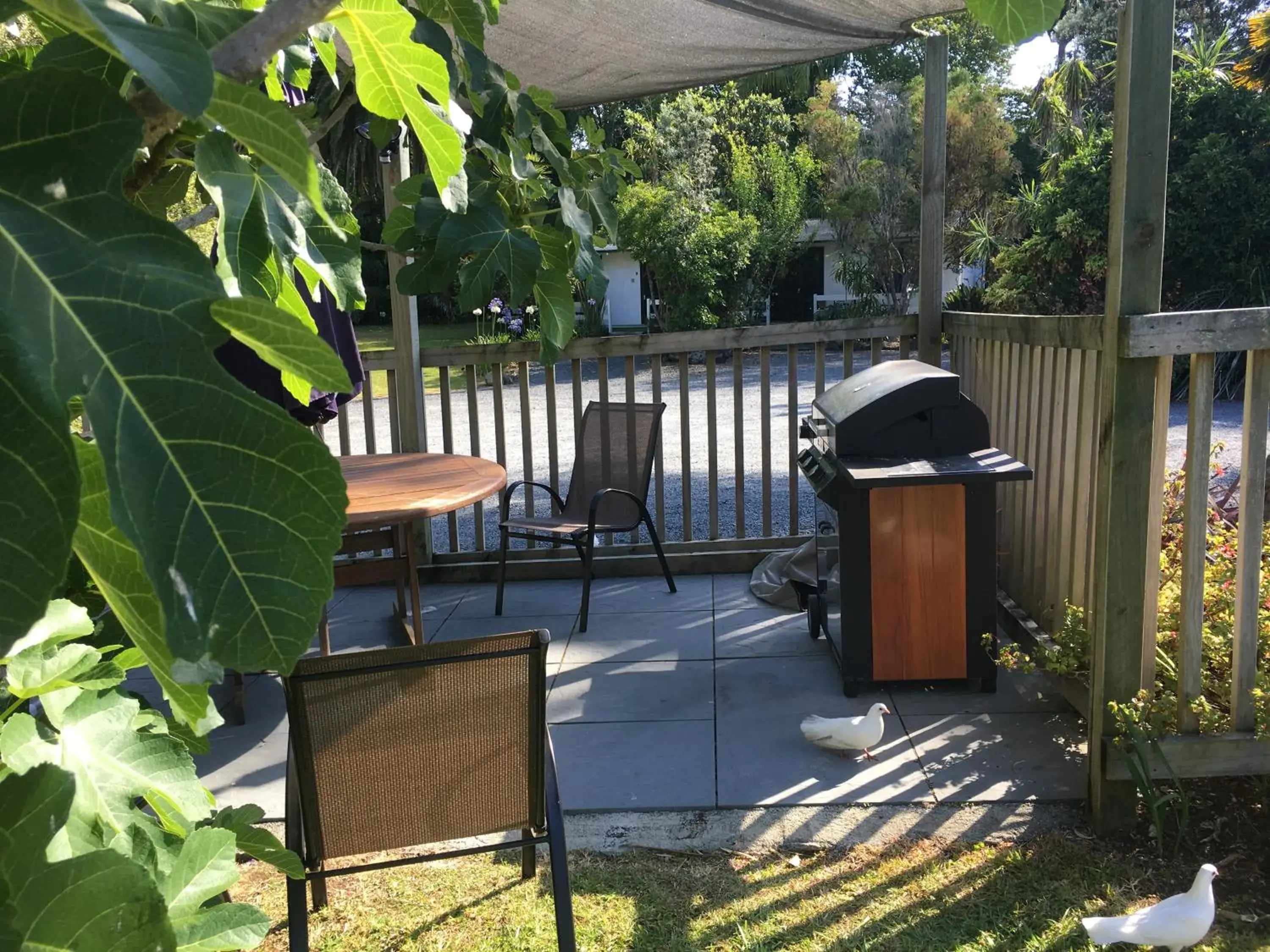 BBQ facilities in Colonial House Motel