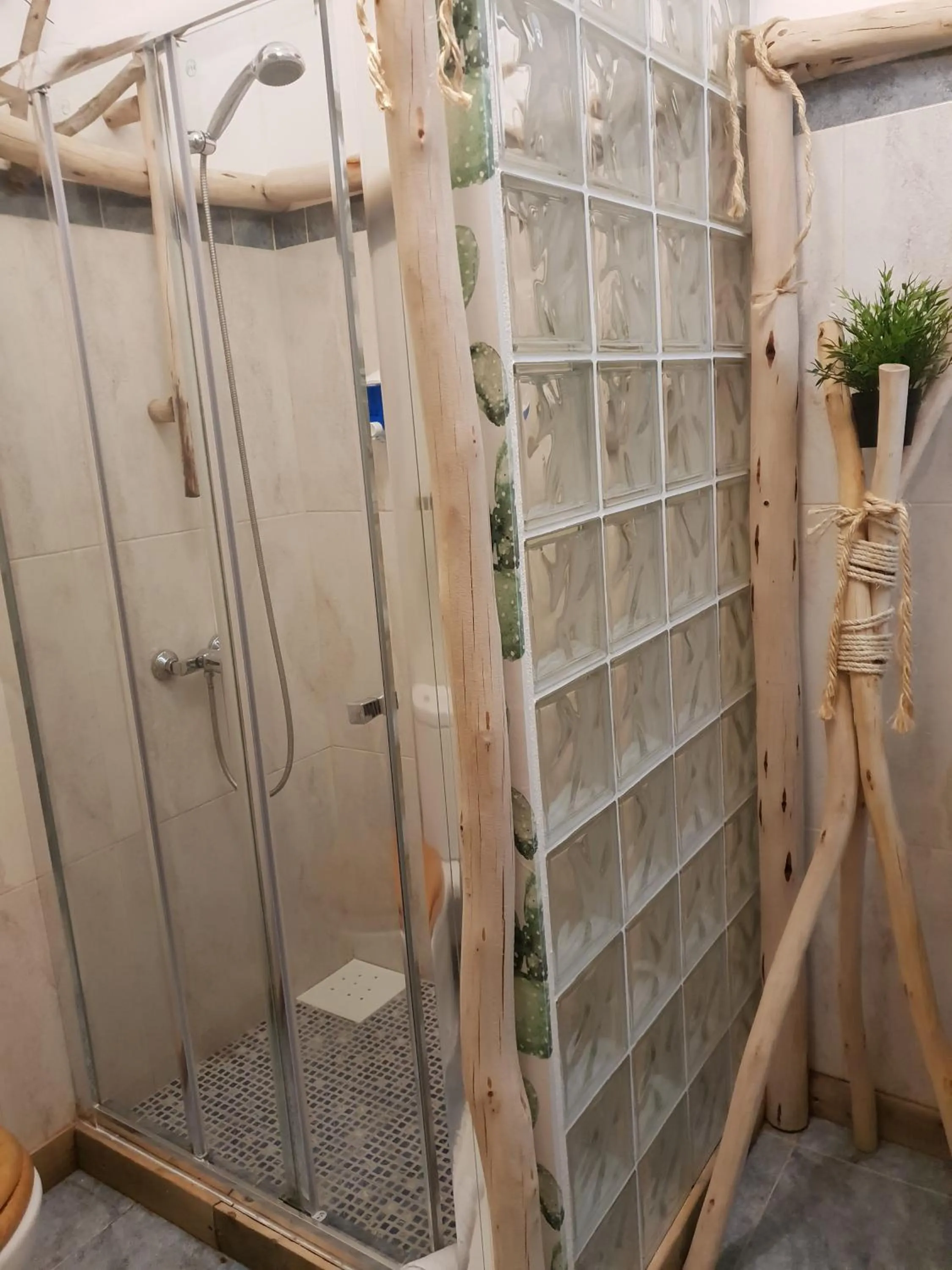 Shower in Cactus Host