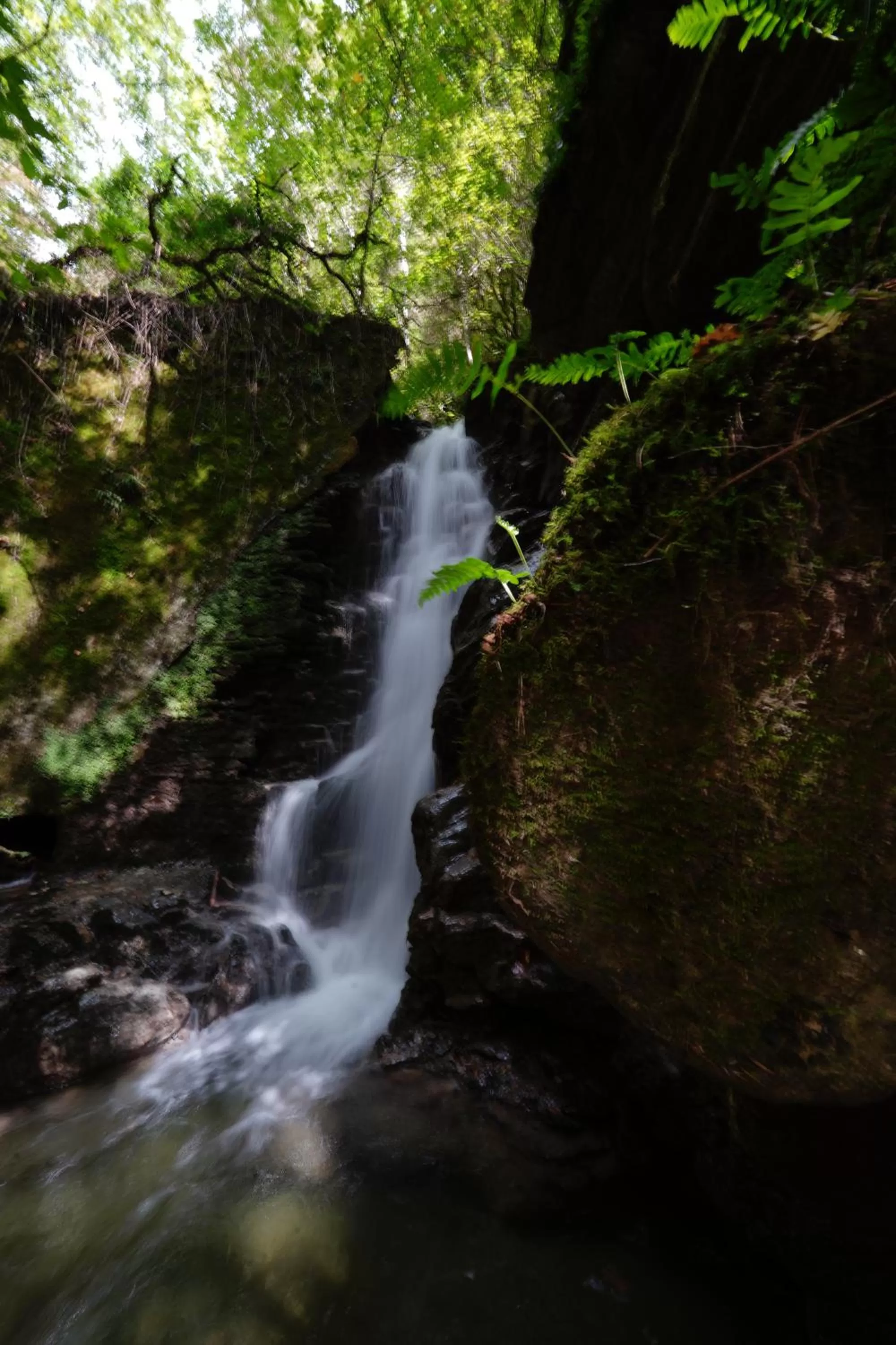 Nearby landmark in Angelats Hotel - A Signature Boutique Hotel