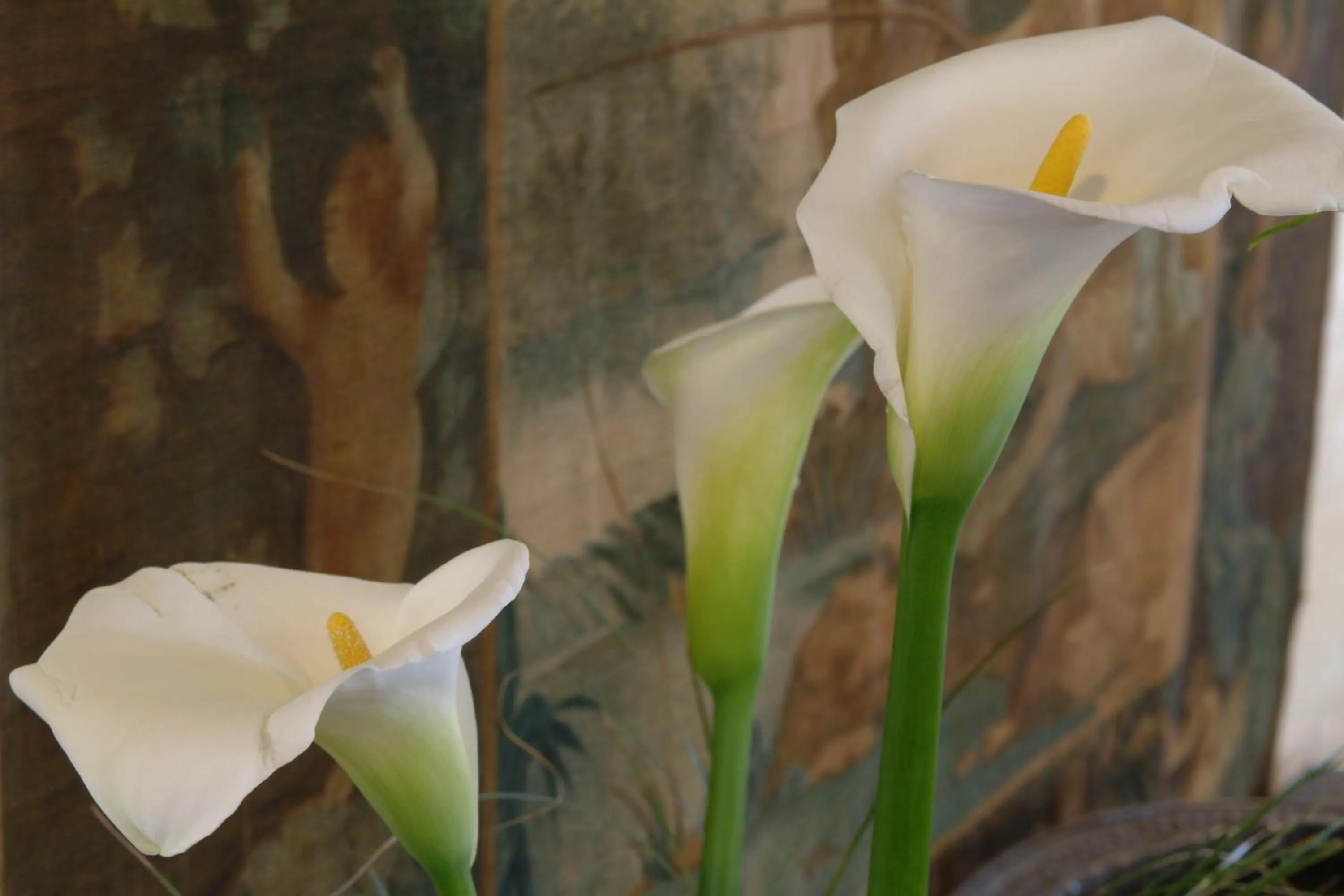 Decorative detail in Hotel Ghironi