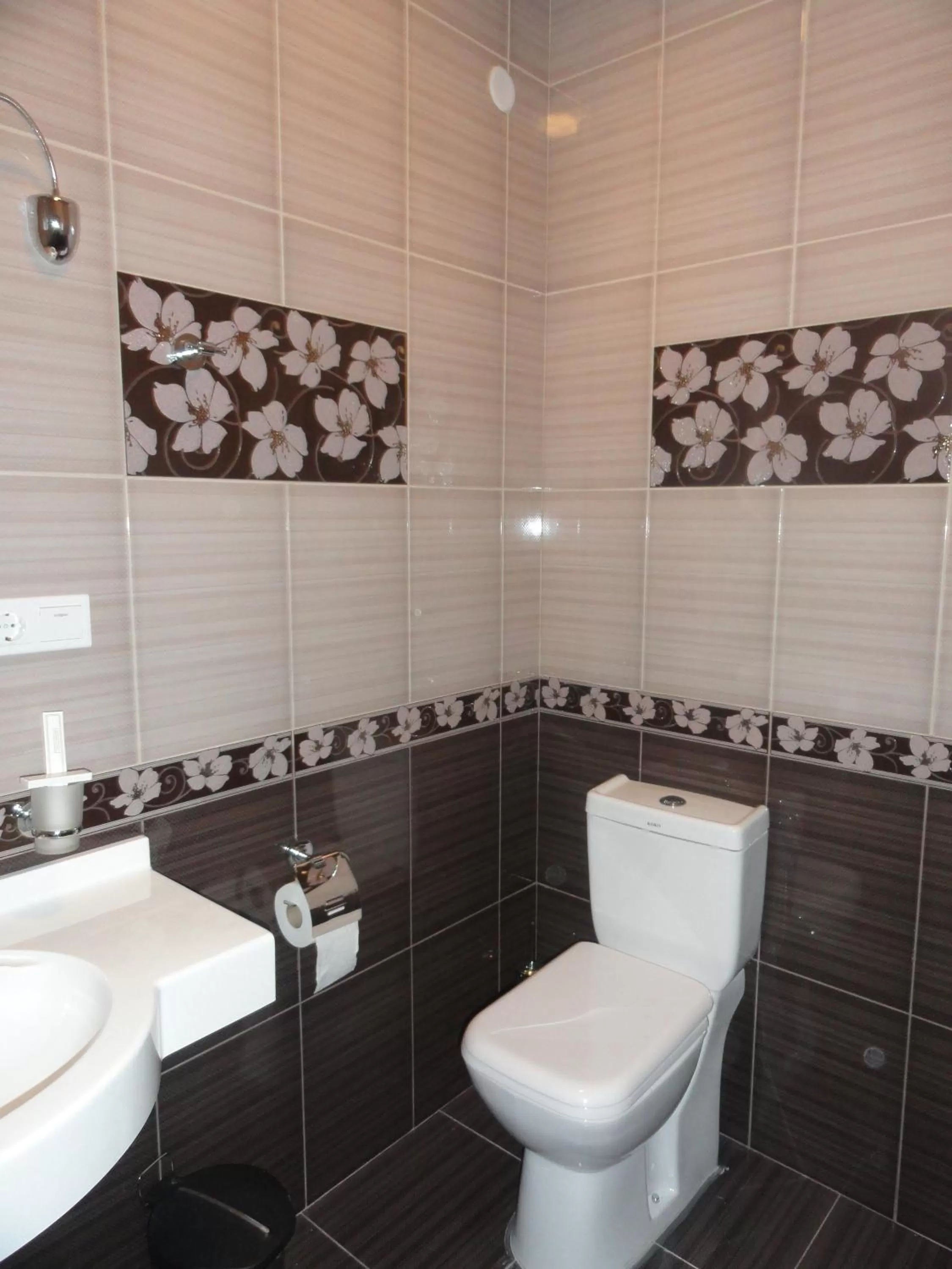 Toilet in Diana Hotel