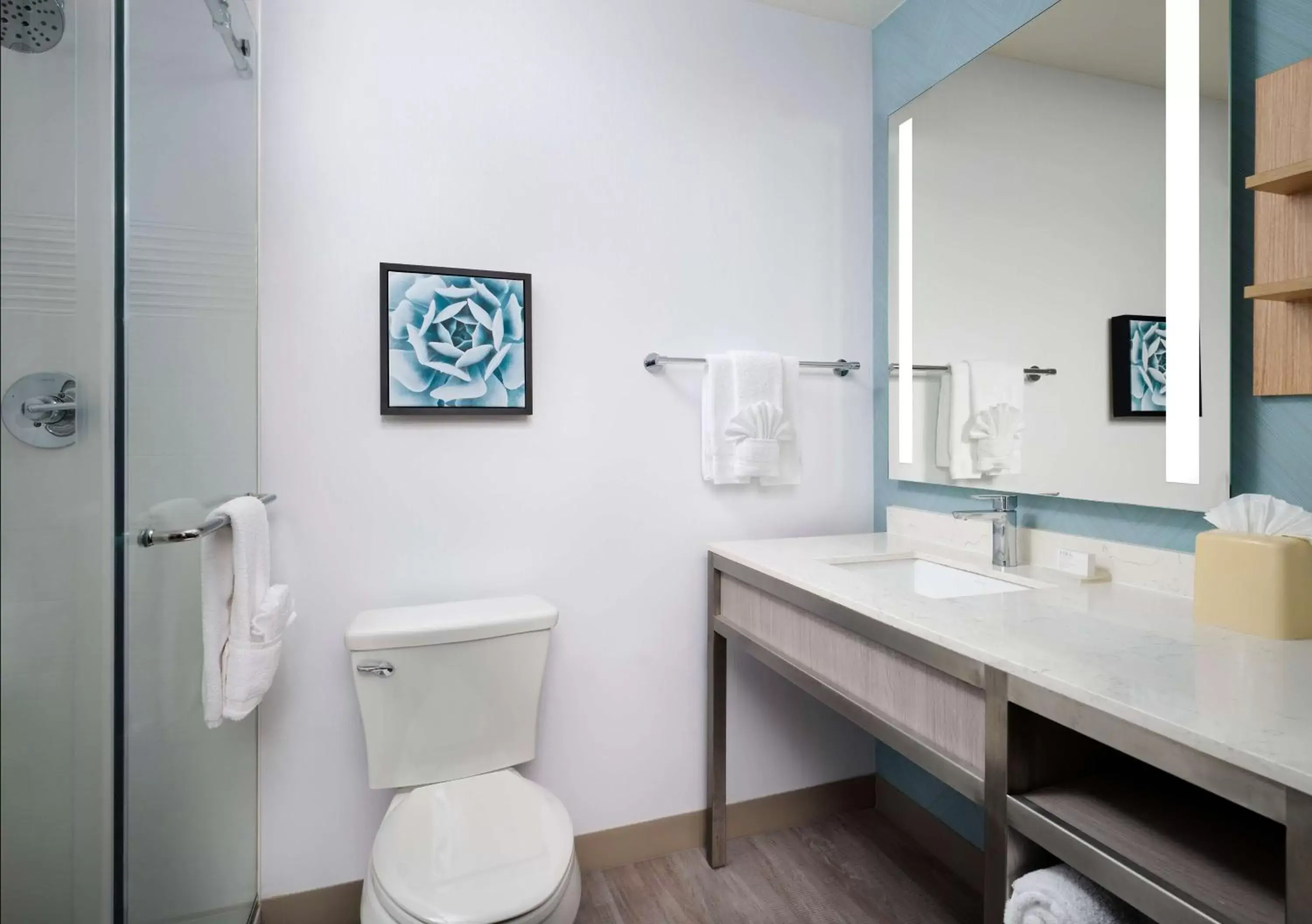 Bathroom in Hilton Garden Inn San Jose/Milpitas