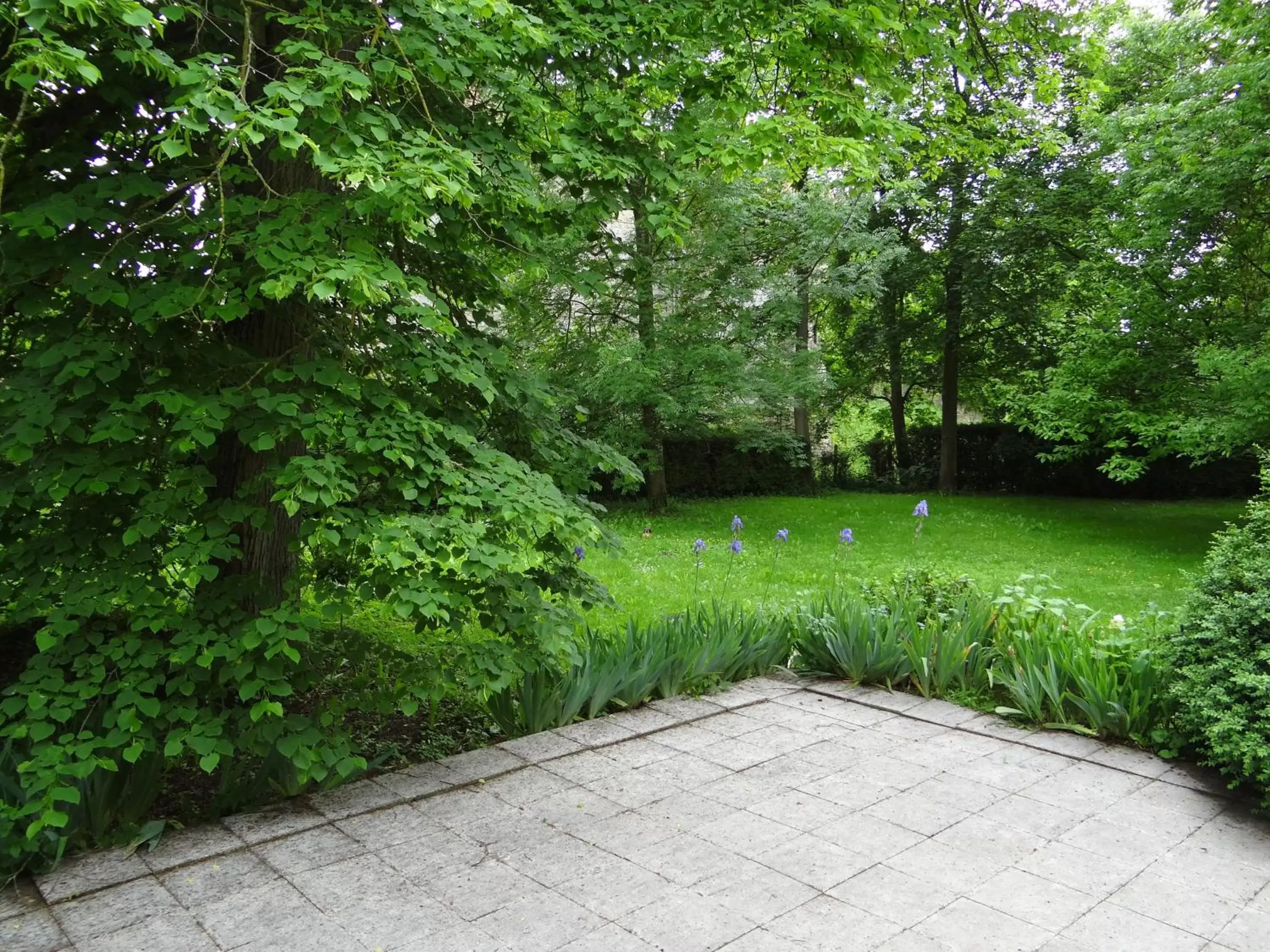 Garden in Château Mesny