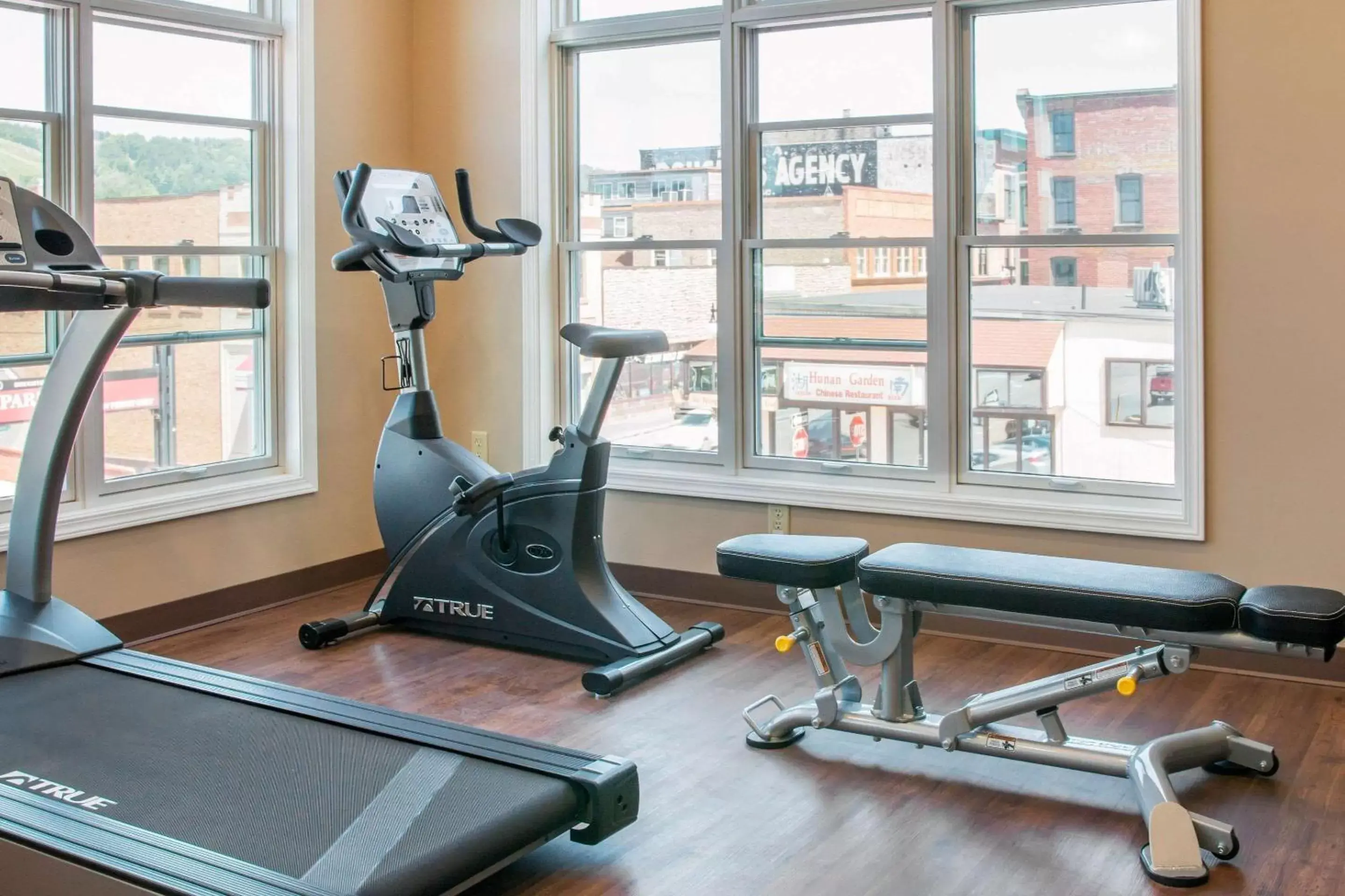Fitness centre/facilities, Fitness Center/Facilities in Quality Inn & Suites Houghton