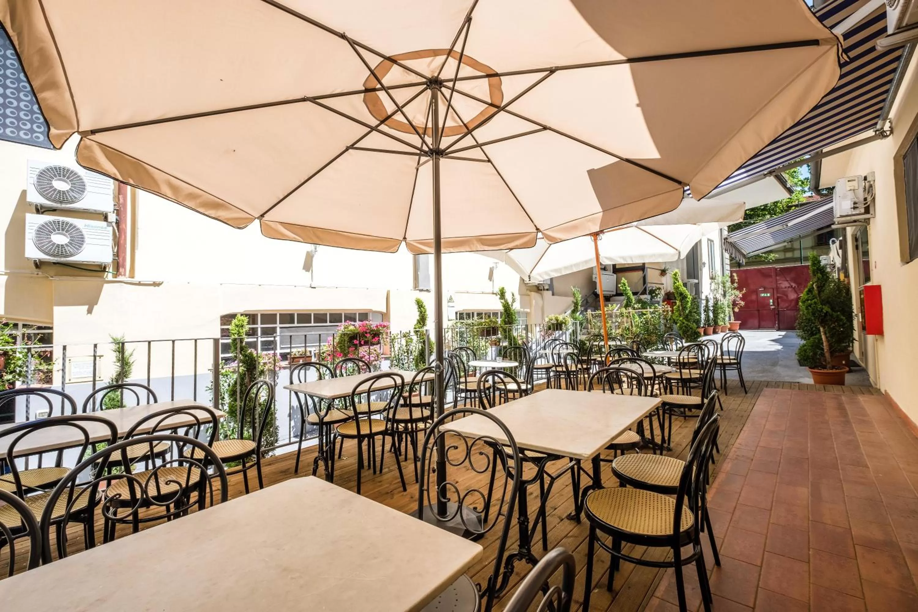 Garden in Hotel Firenze 2000