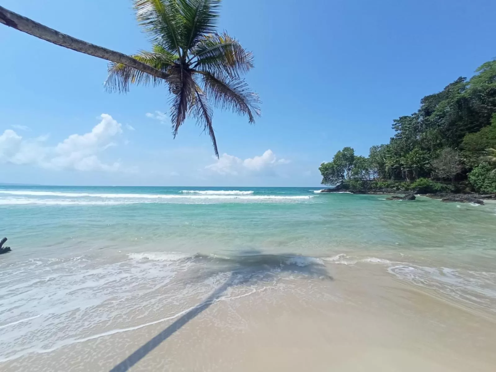 La Luciernaga Big Creek