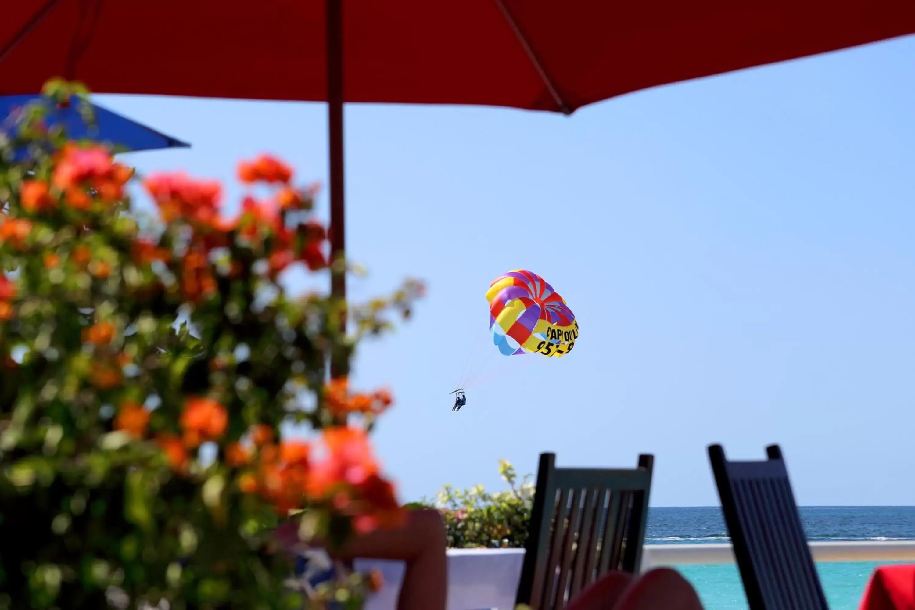 Day in Negril Palms