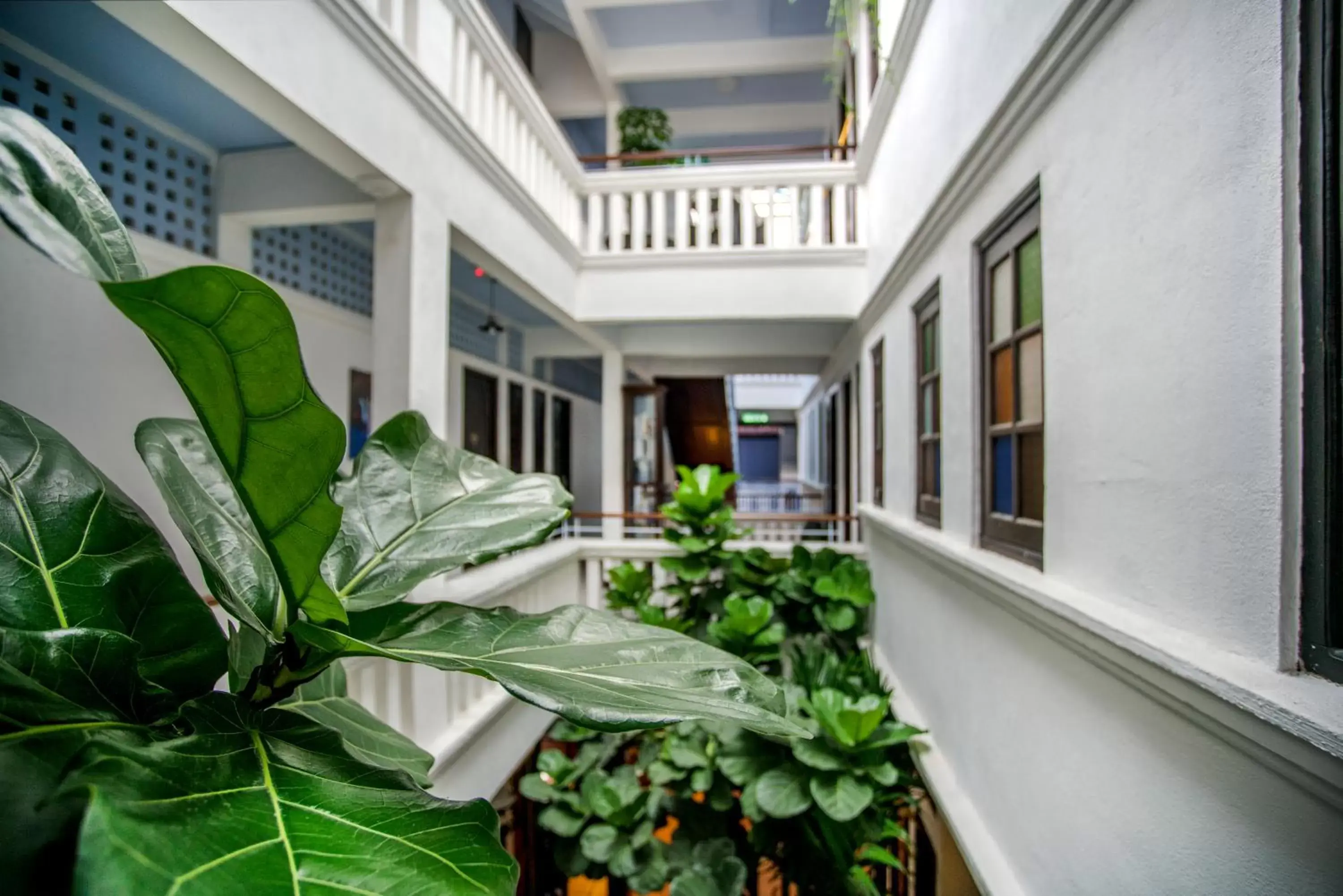 Balcony/Terrace in Areca Hotel Penang