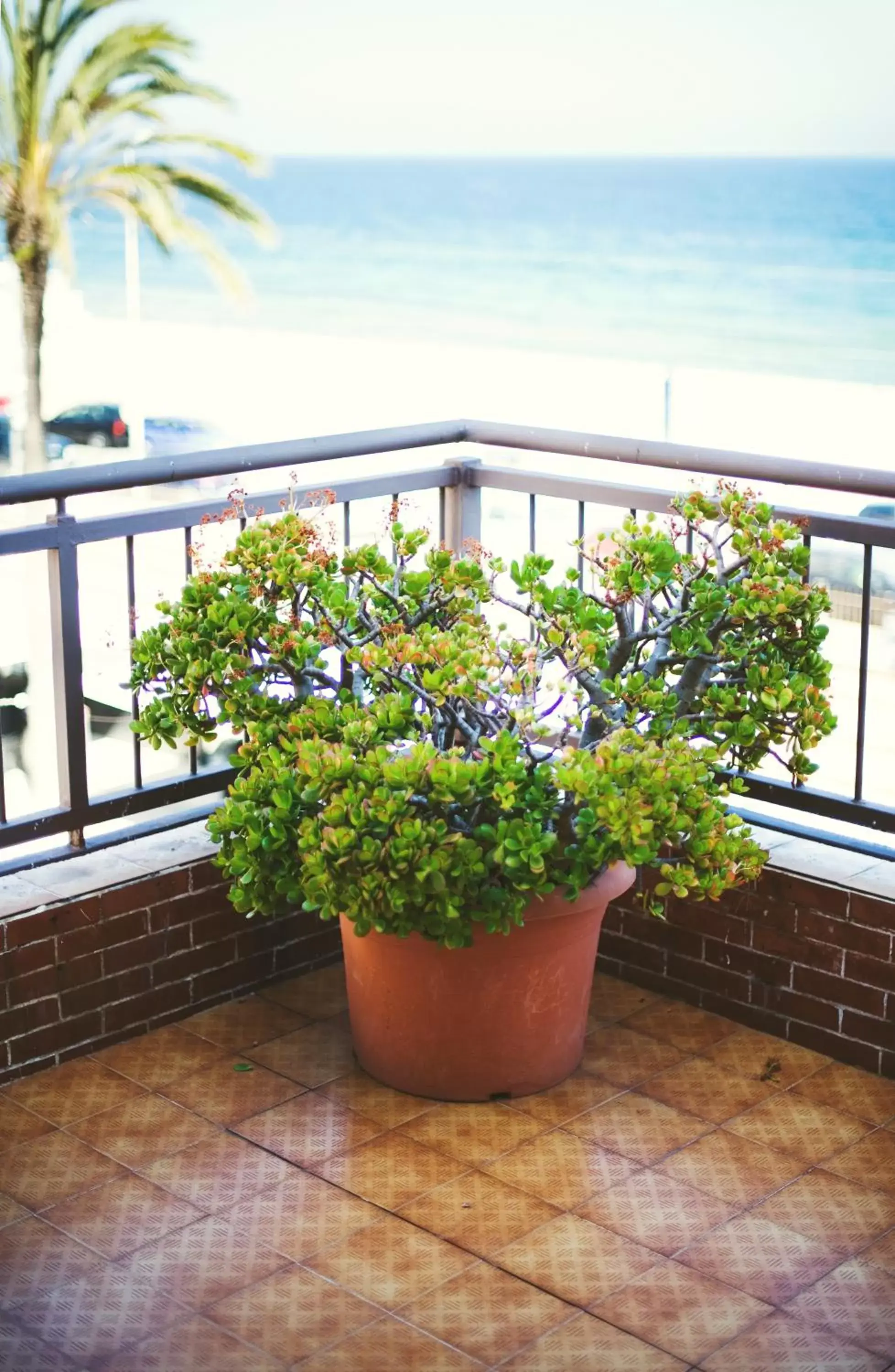 Balcony/Terrace, Sea View in Hotel Miramar Badalona