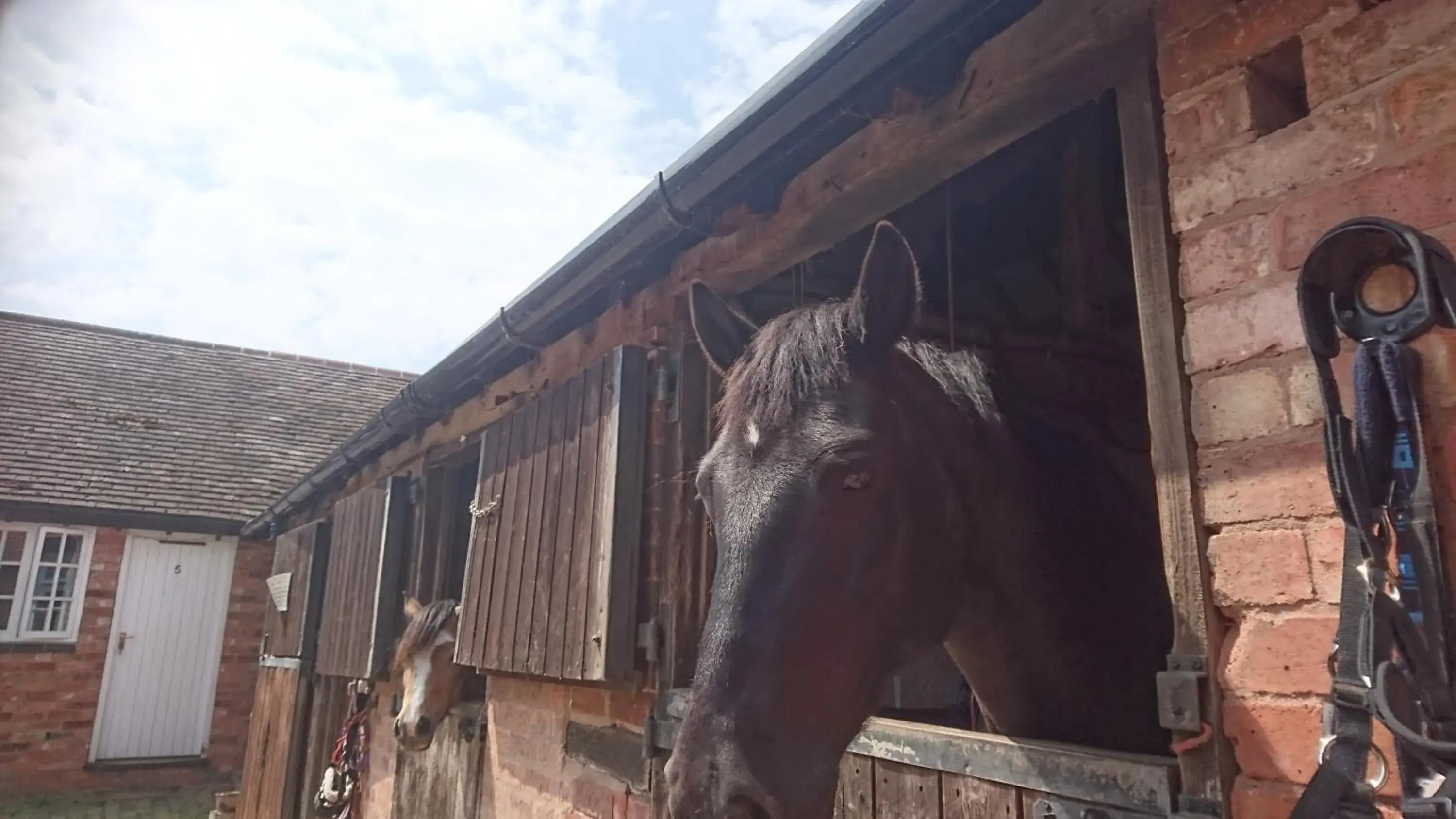 Pets in Church Farm Accomodation