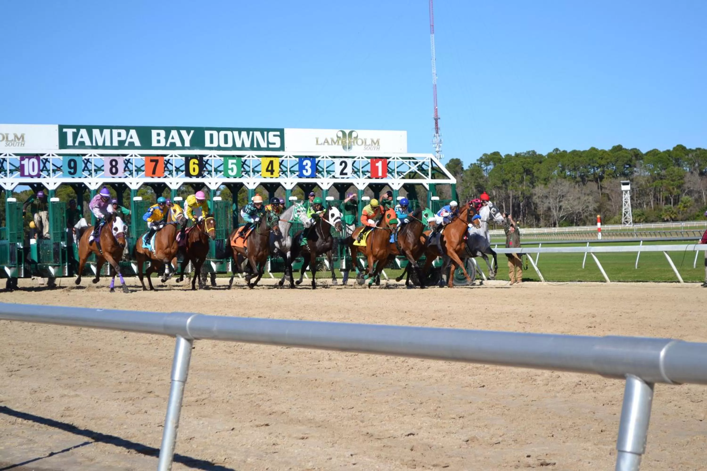 Nearby landmark in Holiday Inn Express Hotel & Suites Tampa-Oldsmar by IHG