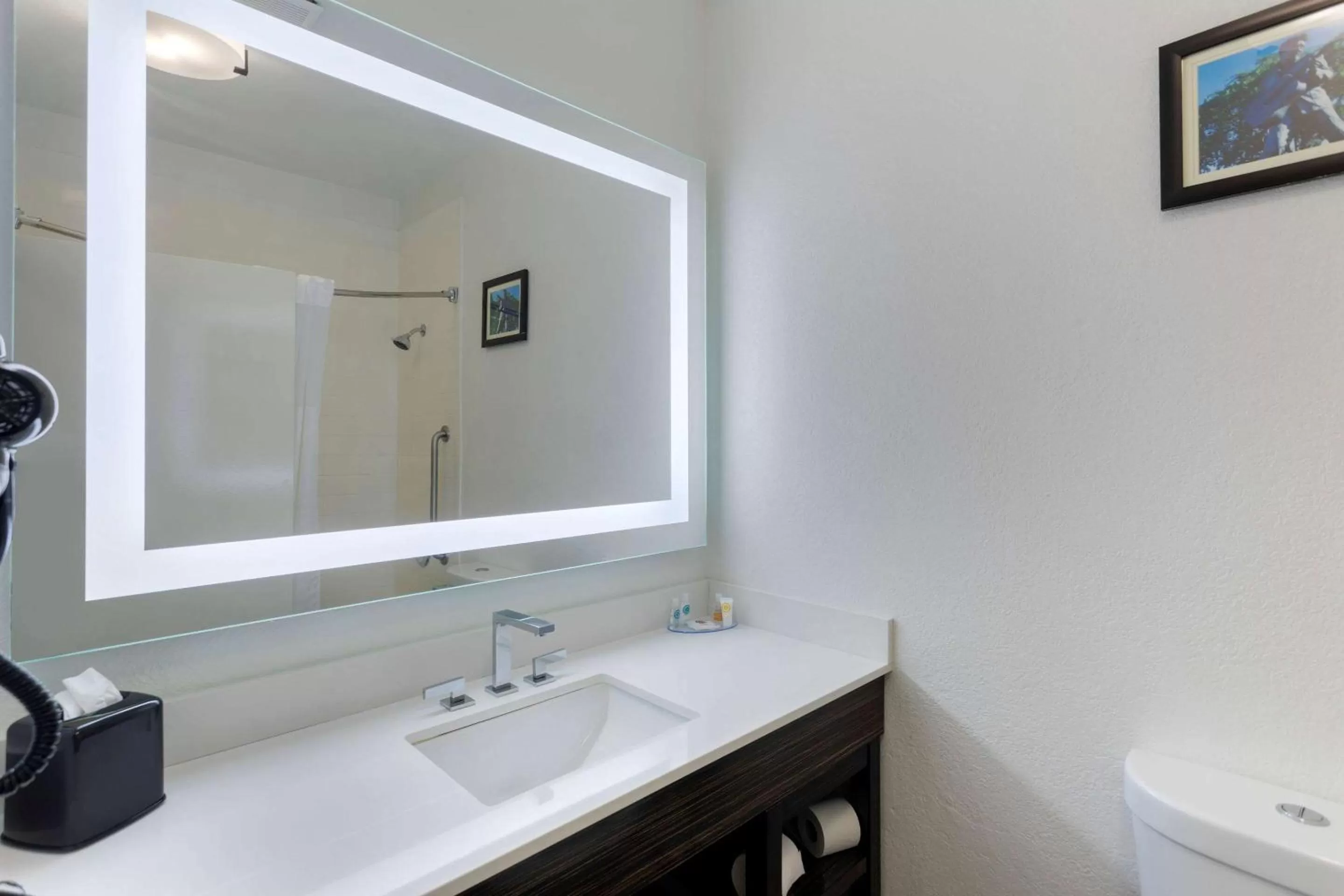 Bathroom in Comfort Inn & Suites Memphis East