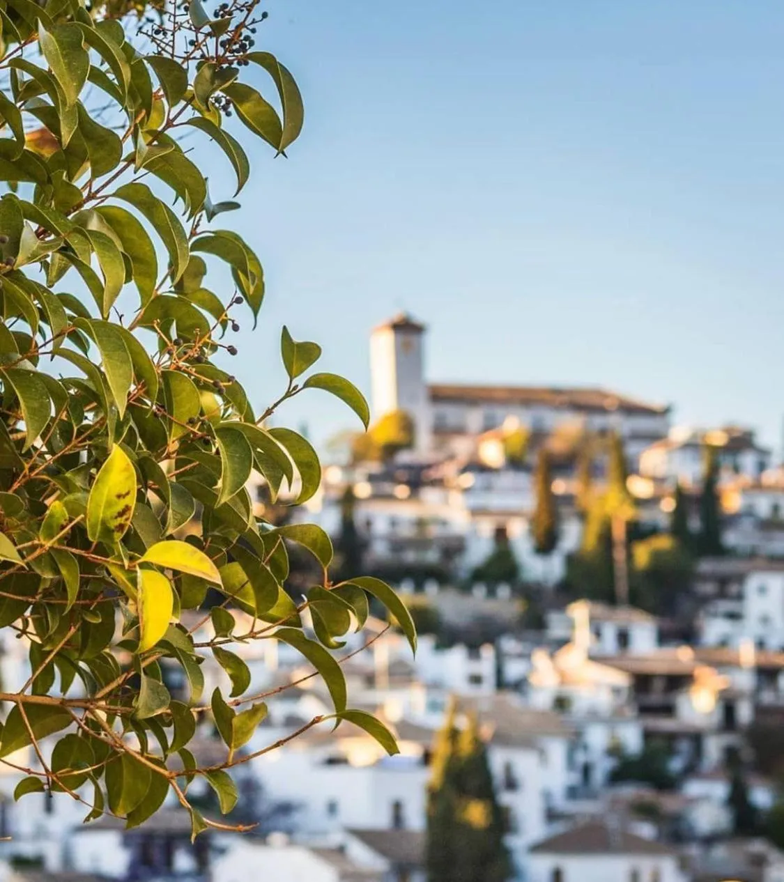 Bird's eye view in Hotel Reina Cristina