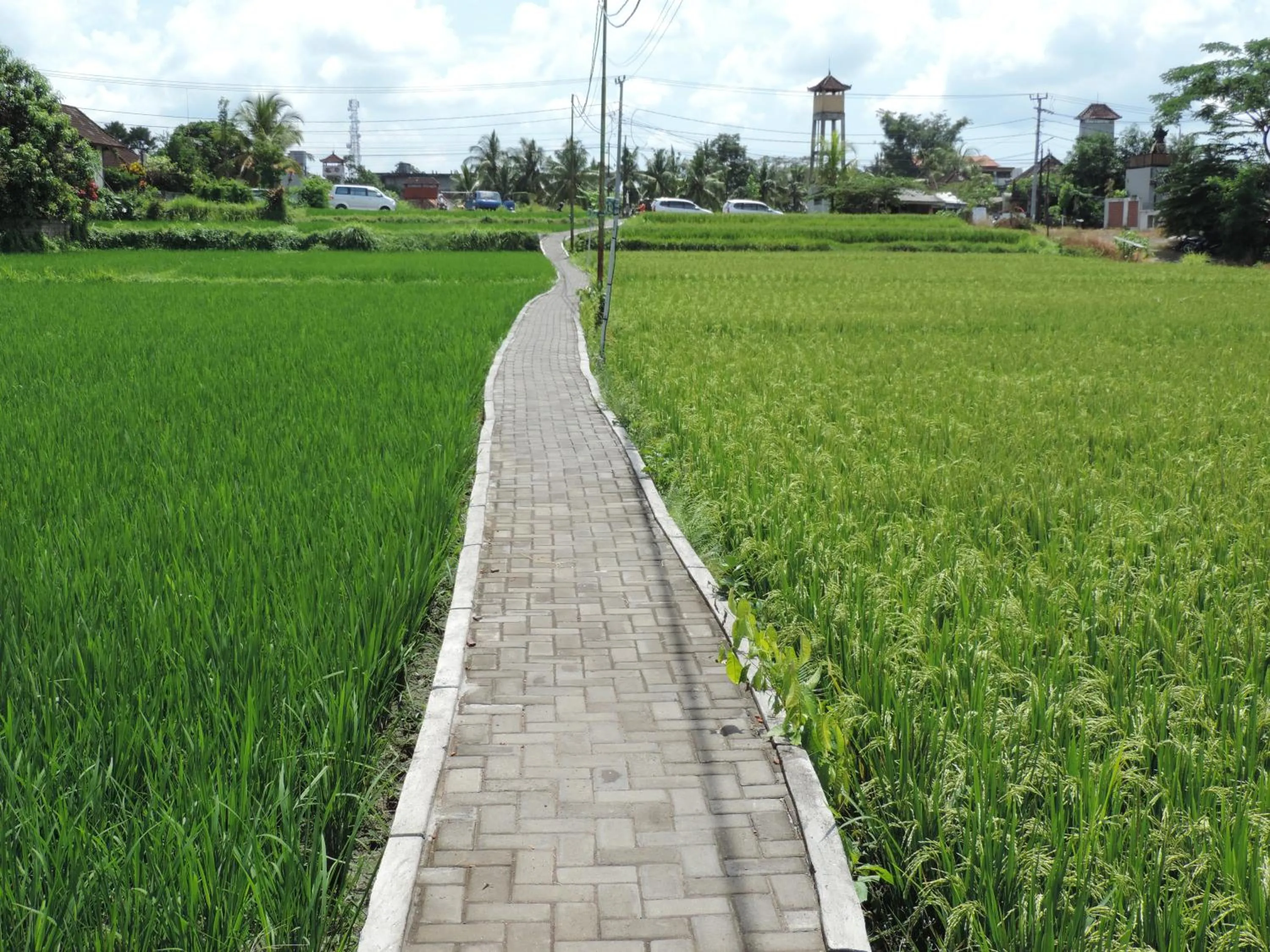 Garden view in Nick's Hidden Cottages by Mahaputra-CHSE Certified