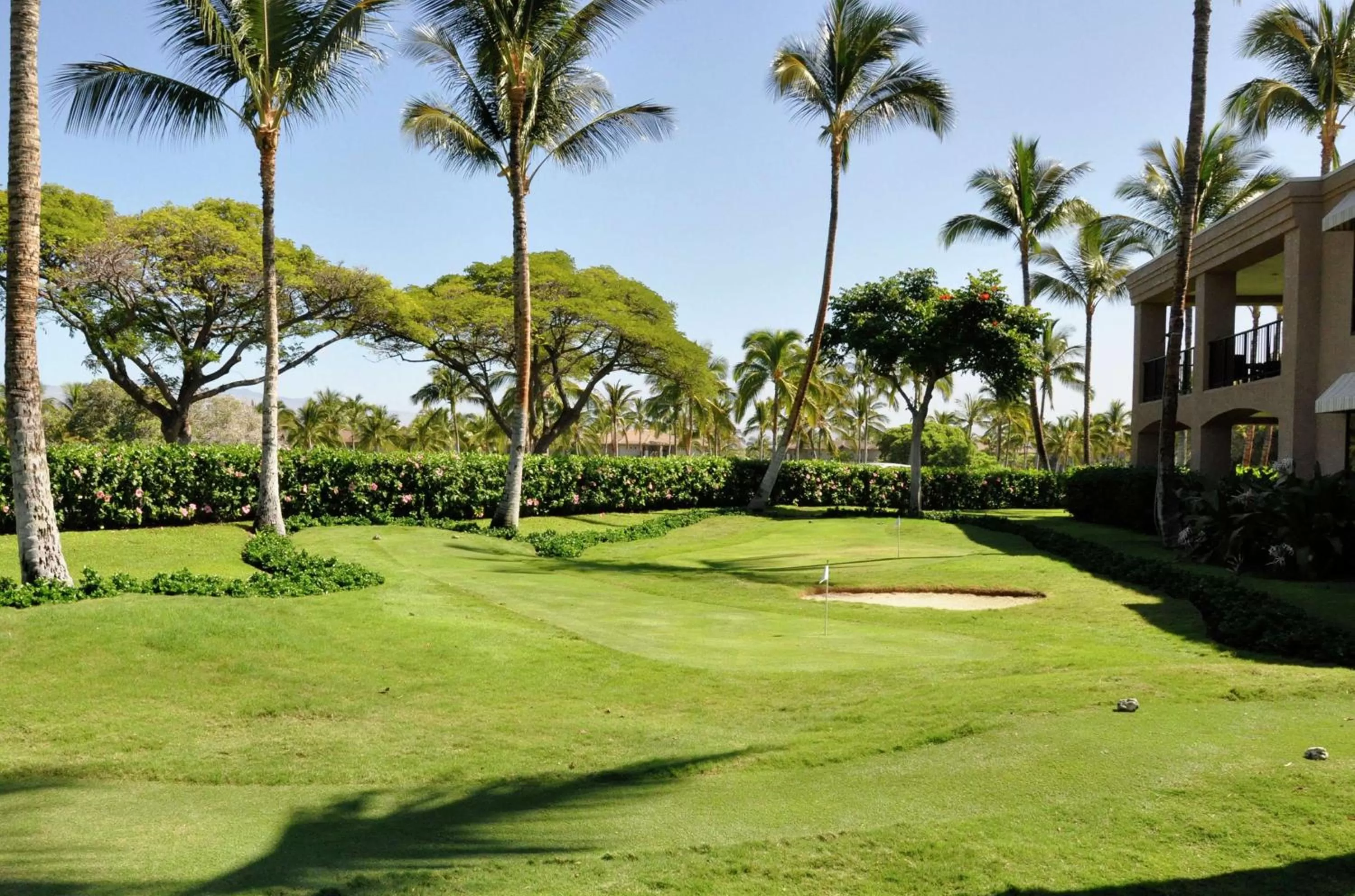 Golfcourse in Hilton Grand Vacations Club Kohala Suites Waikoloa