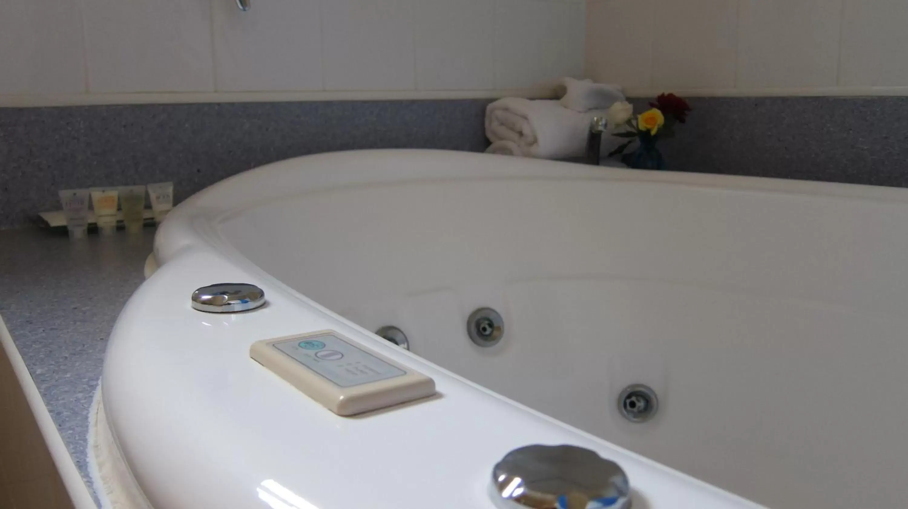 Spa and wellness centre/facilities, Bathroom in Dalby Mid Town Motor Inn