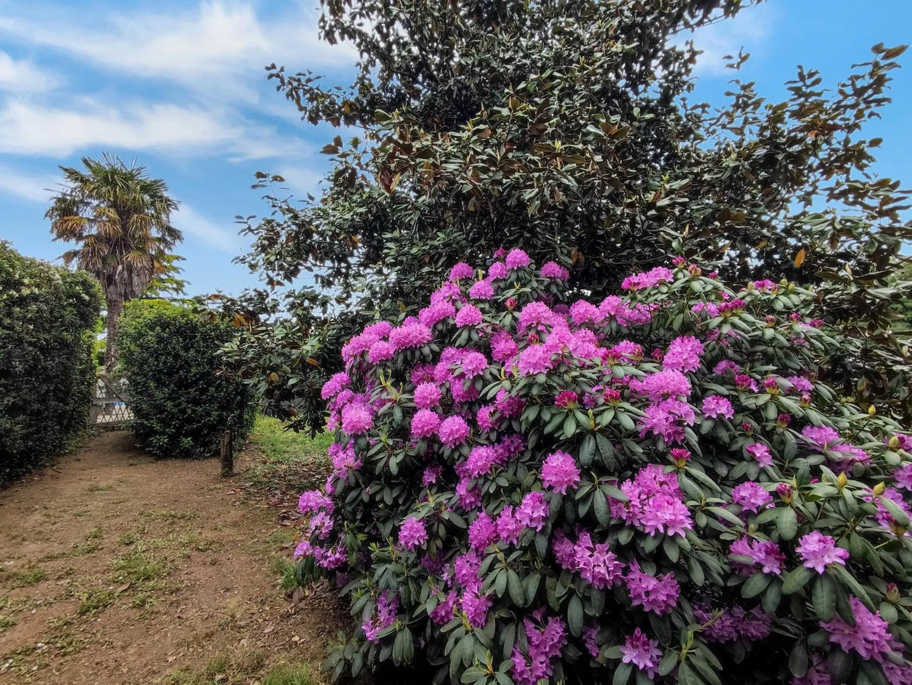 Garden in Hotel Casa de Díaz