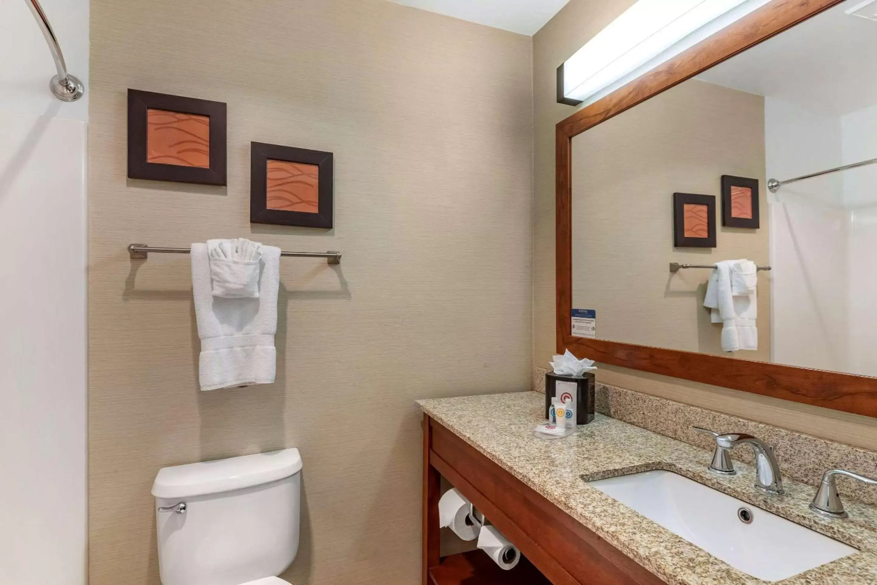 Bedroom, Bathroom in Comfort Inn & Suites Carbondale