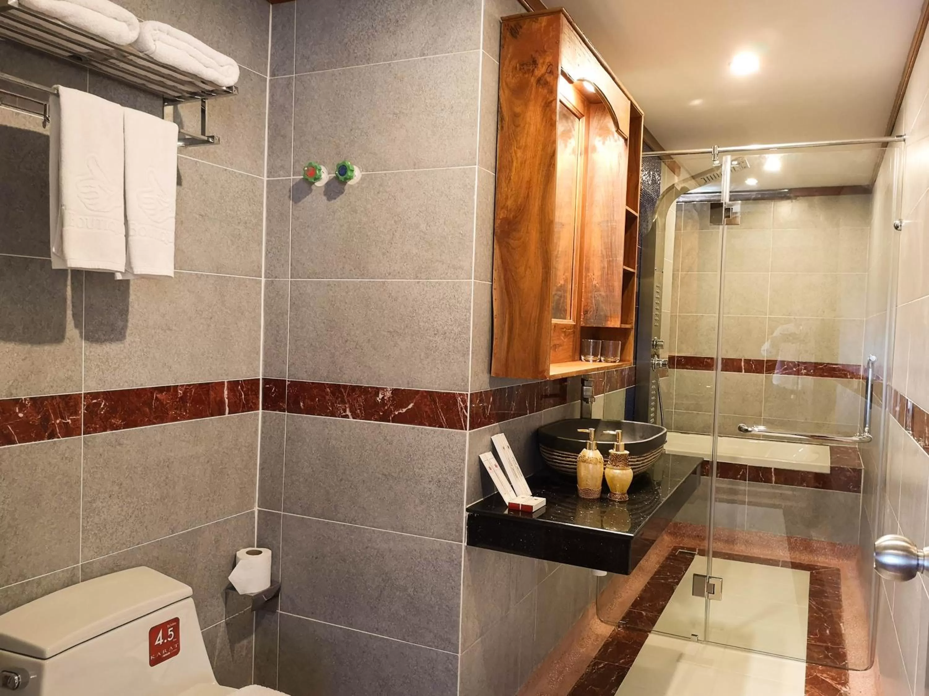 Shower in Okay Palace Hotel