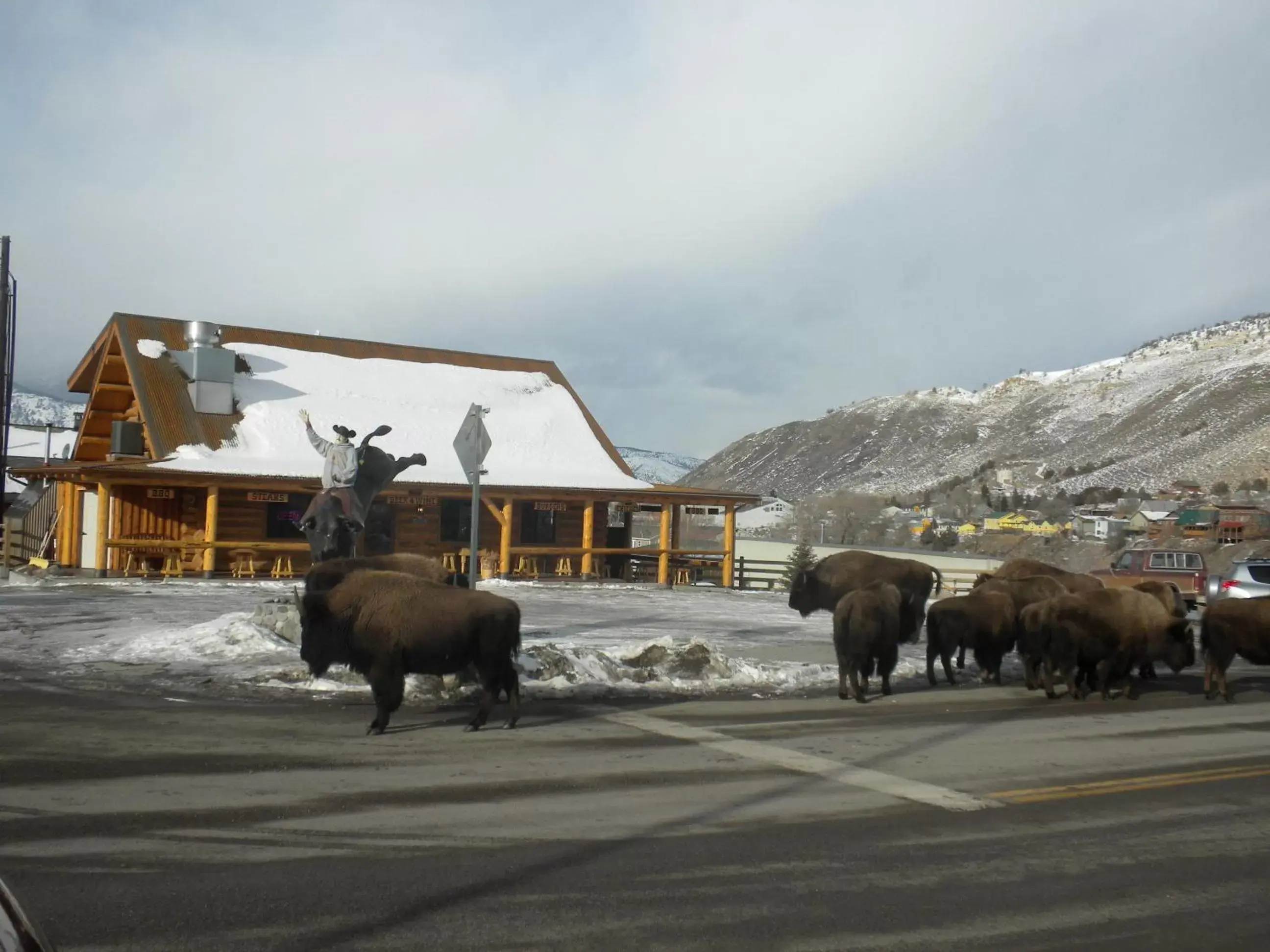 Restaurant/places to eat, Other Animals in Cowboy's Lodge