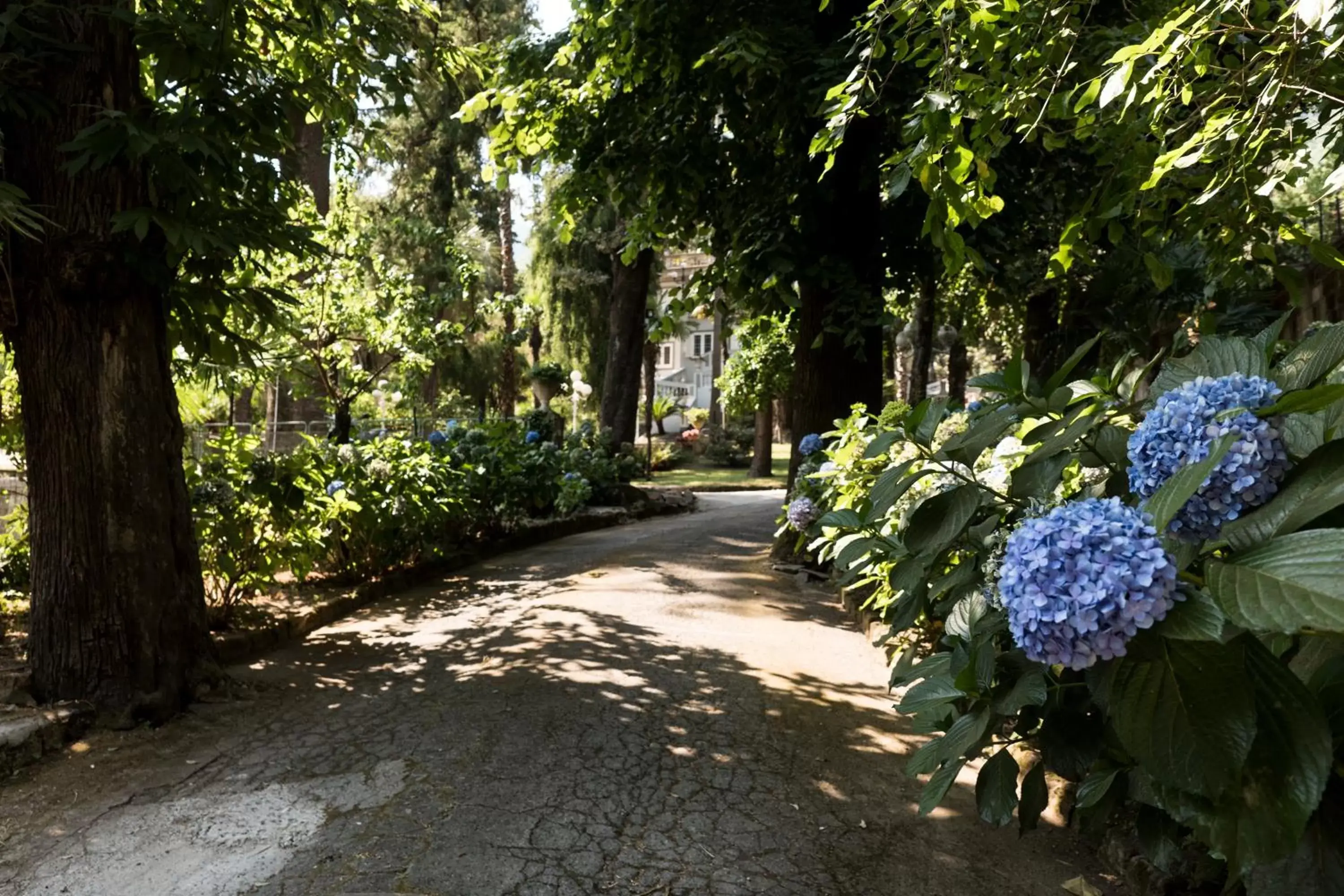 Garden in Du Parc Boutique Home