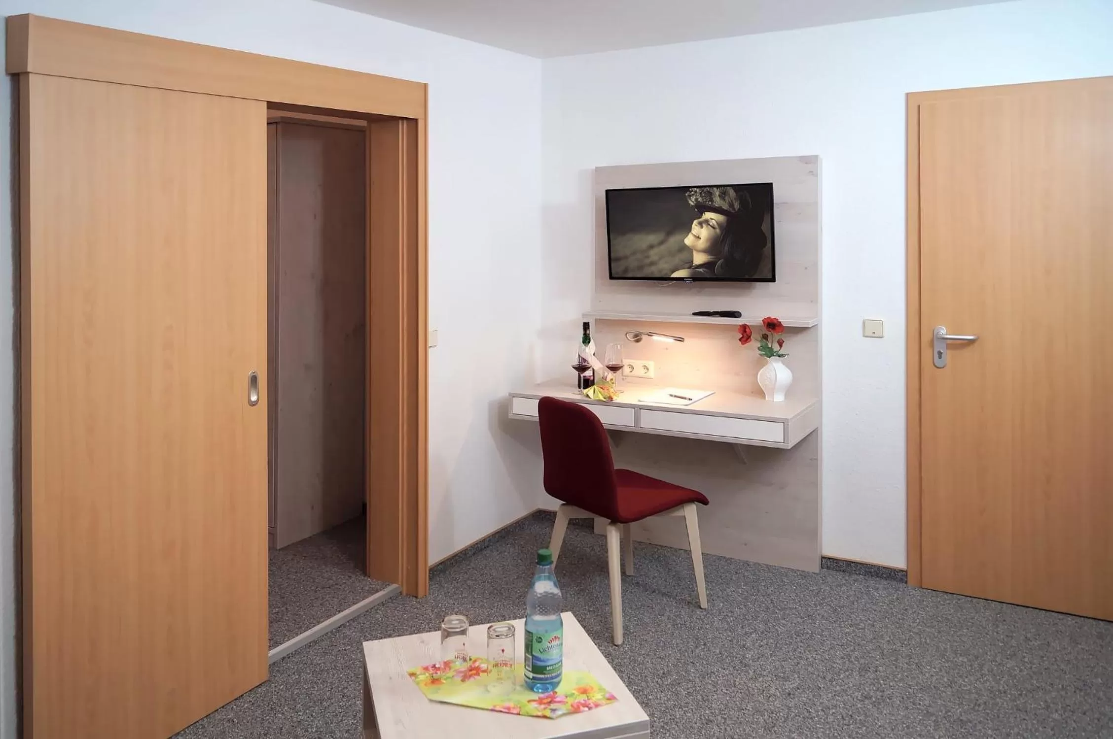 TV and multimedia in Erzgebirgshotel Misnia Bärenfels