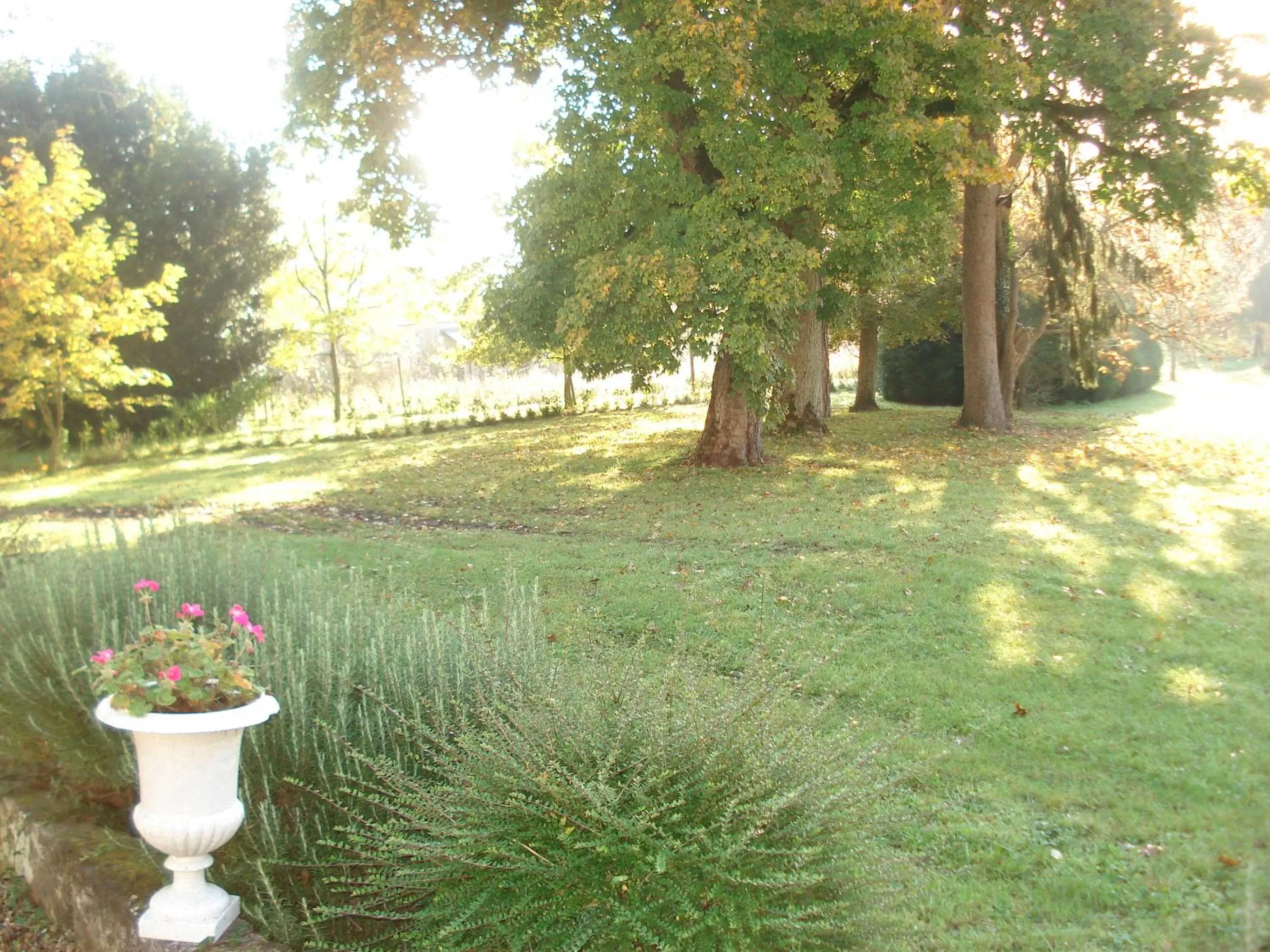 Garden in Domaine de Planchoury