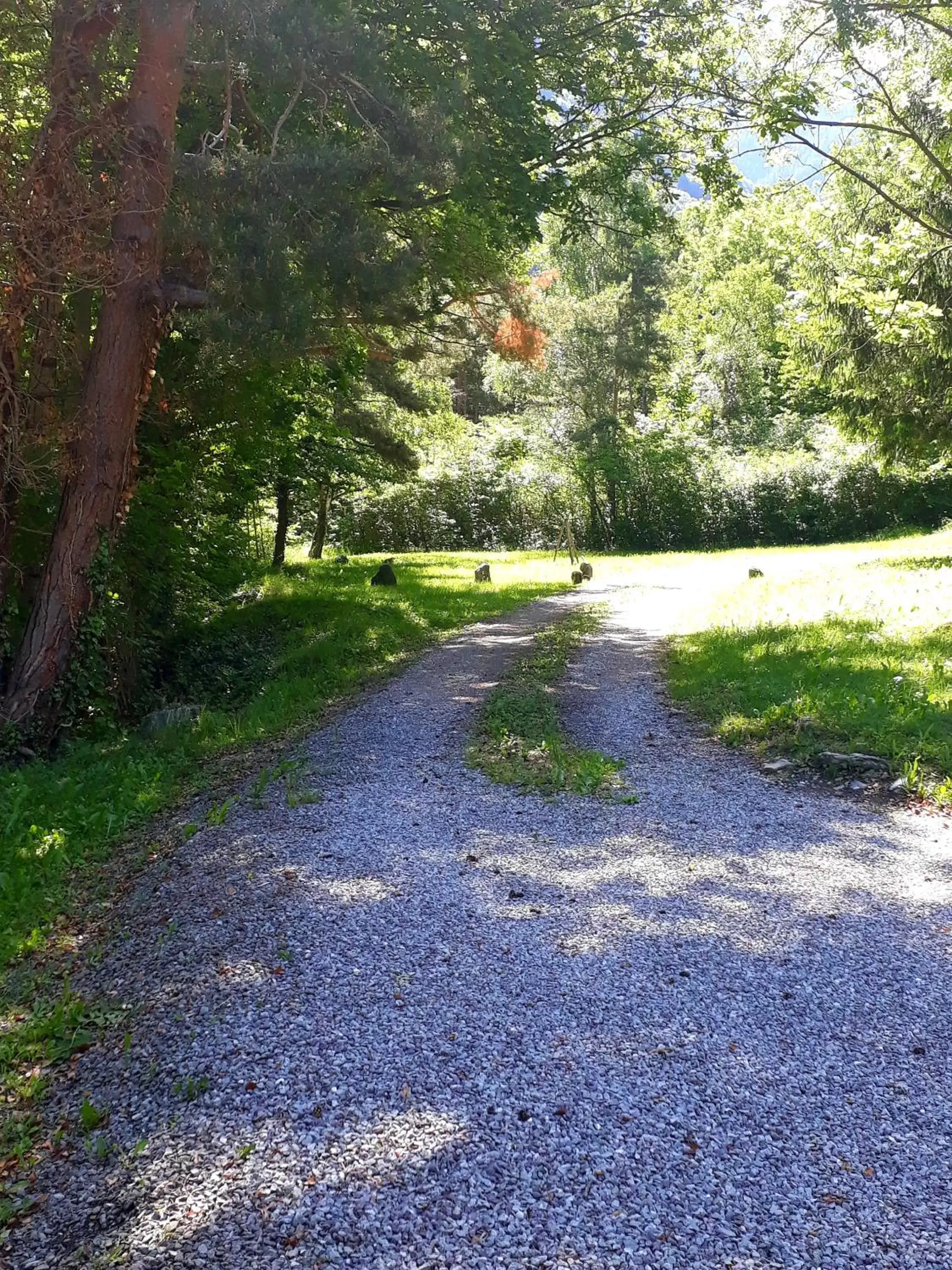 Natural landscape, Garden in Chambre d'hôtes La Choume