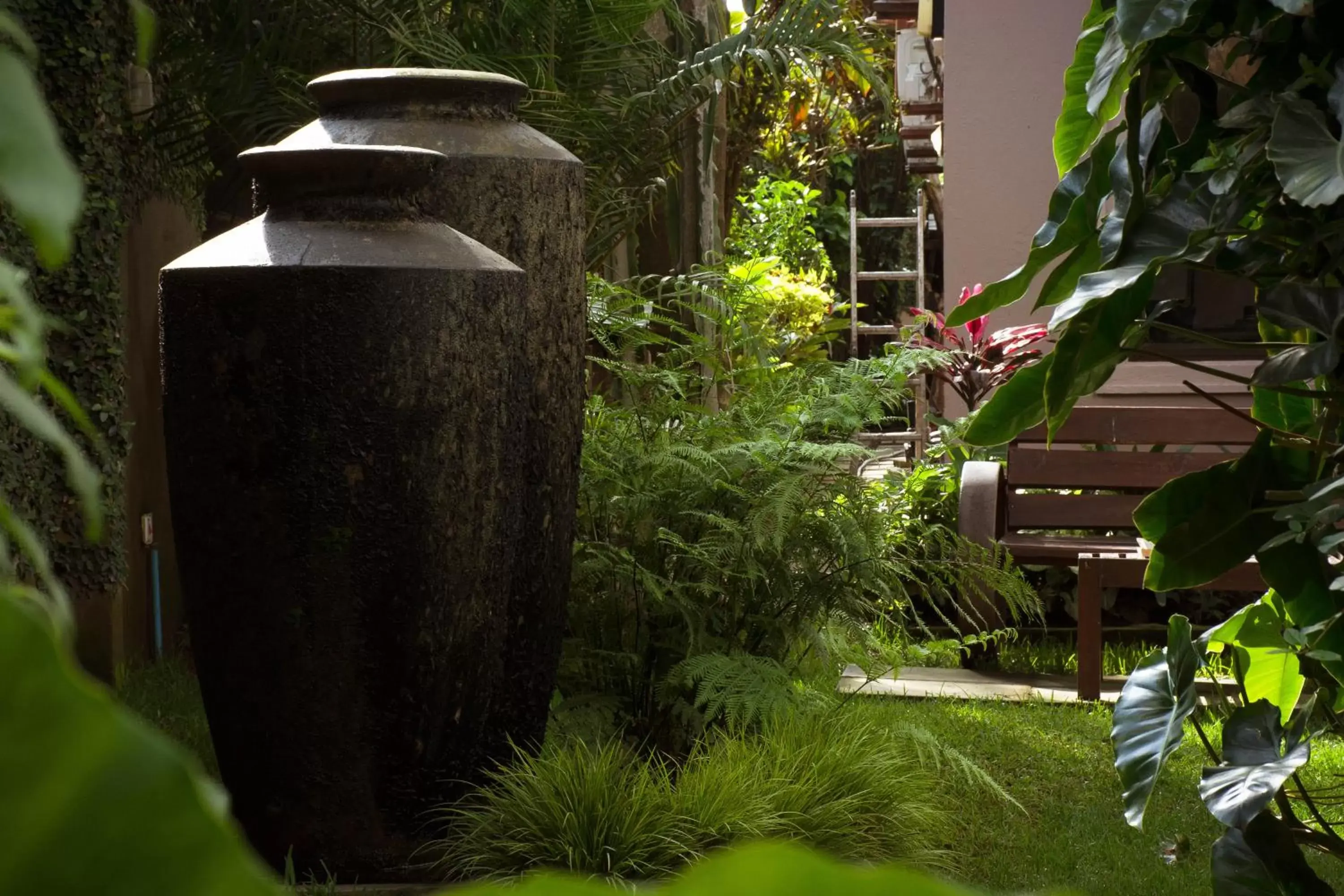 Garden in Zawadi House Lodge