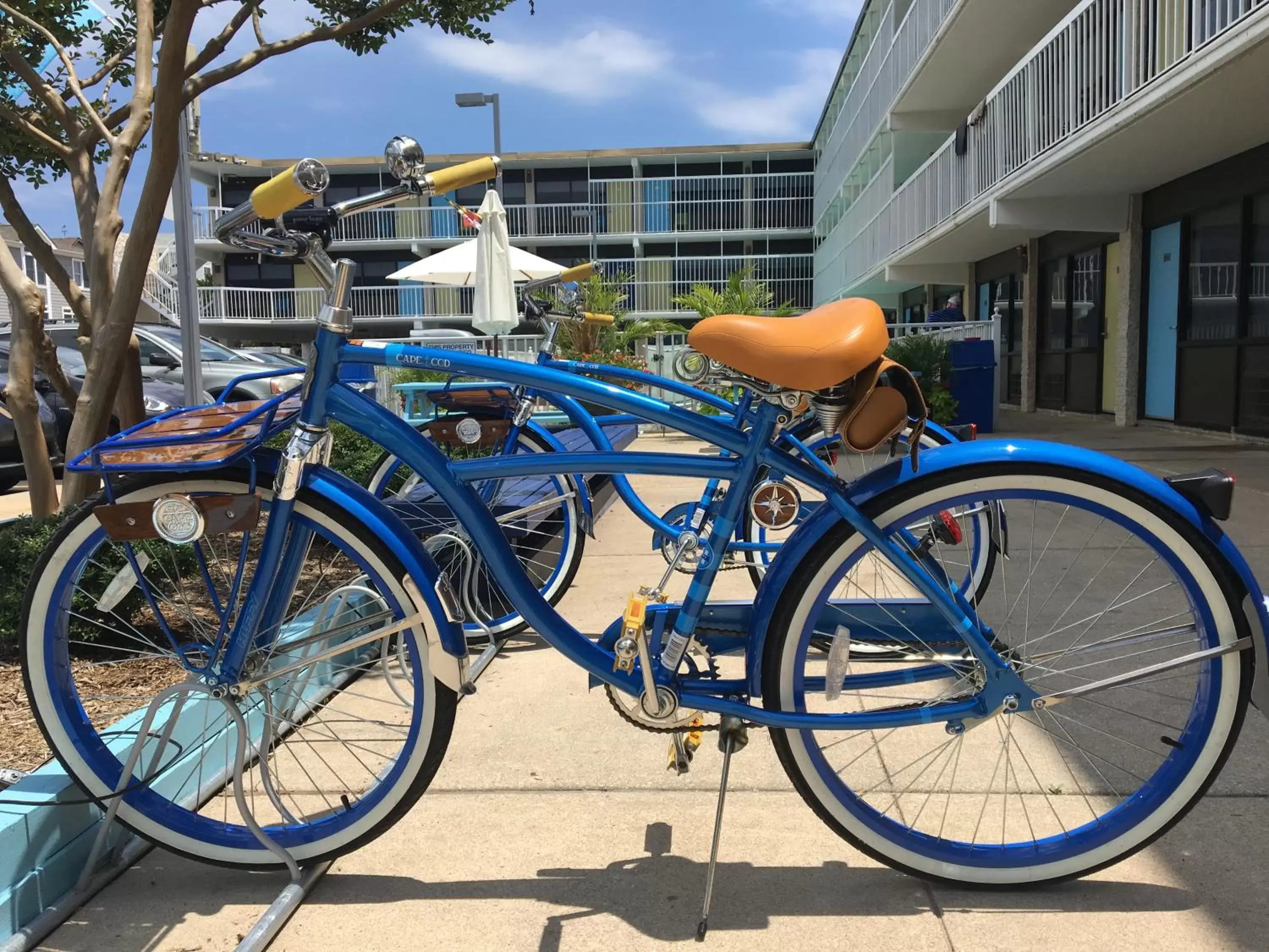 Area and facilities, Biking in Beach House Dewey