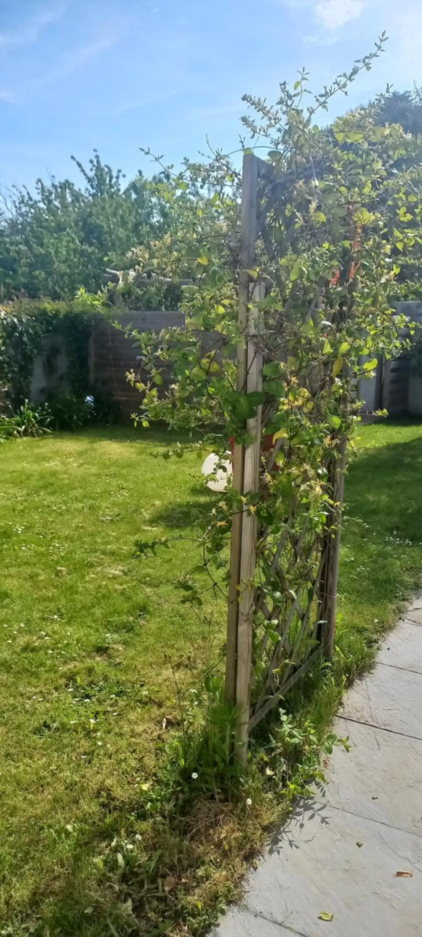 Garden in Au gré des vents