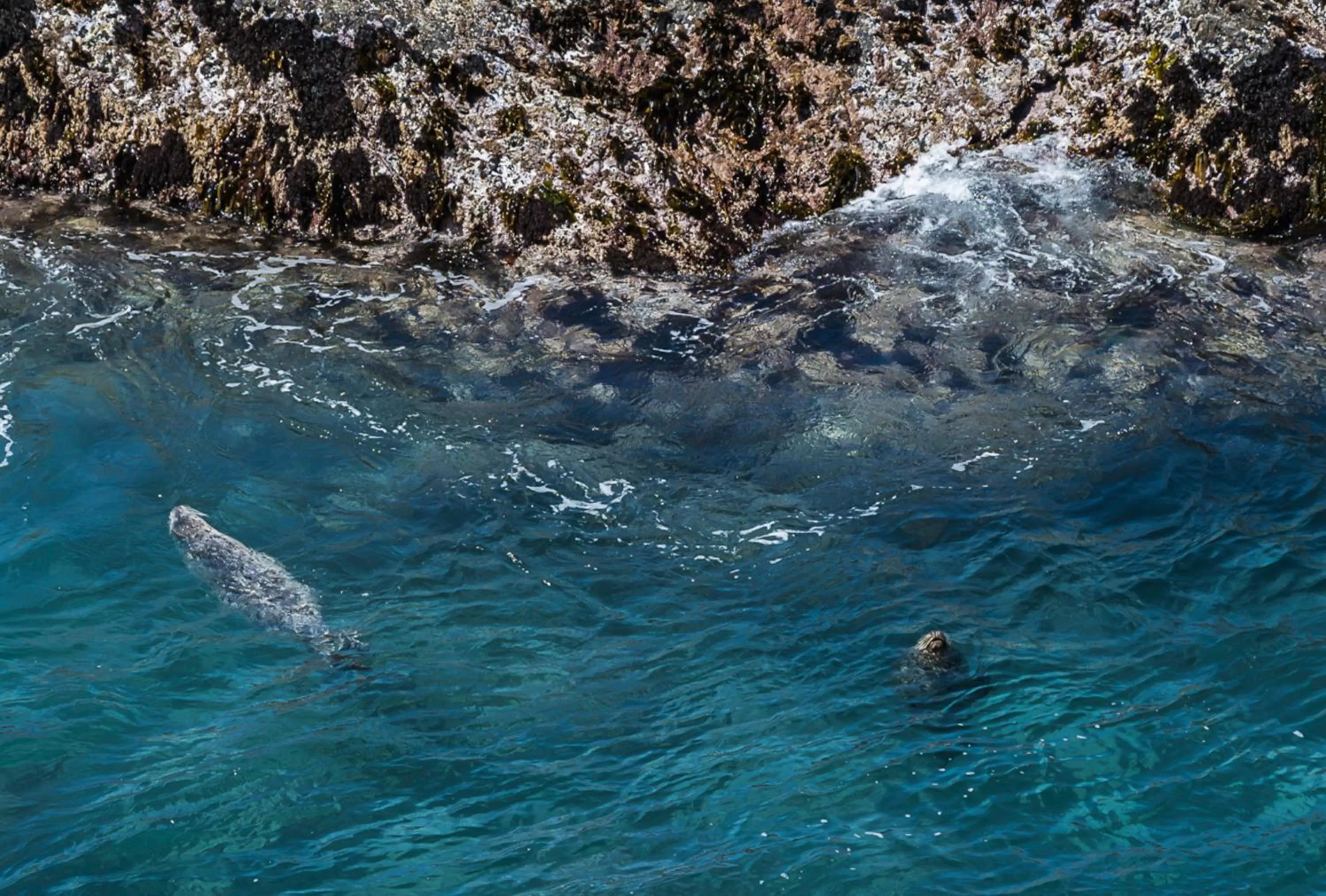 Natural landscape in Inn at Schoolhouse Creek