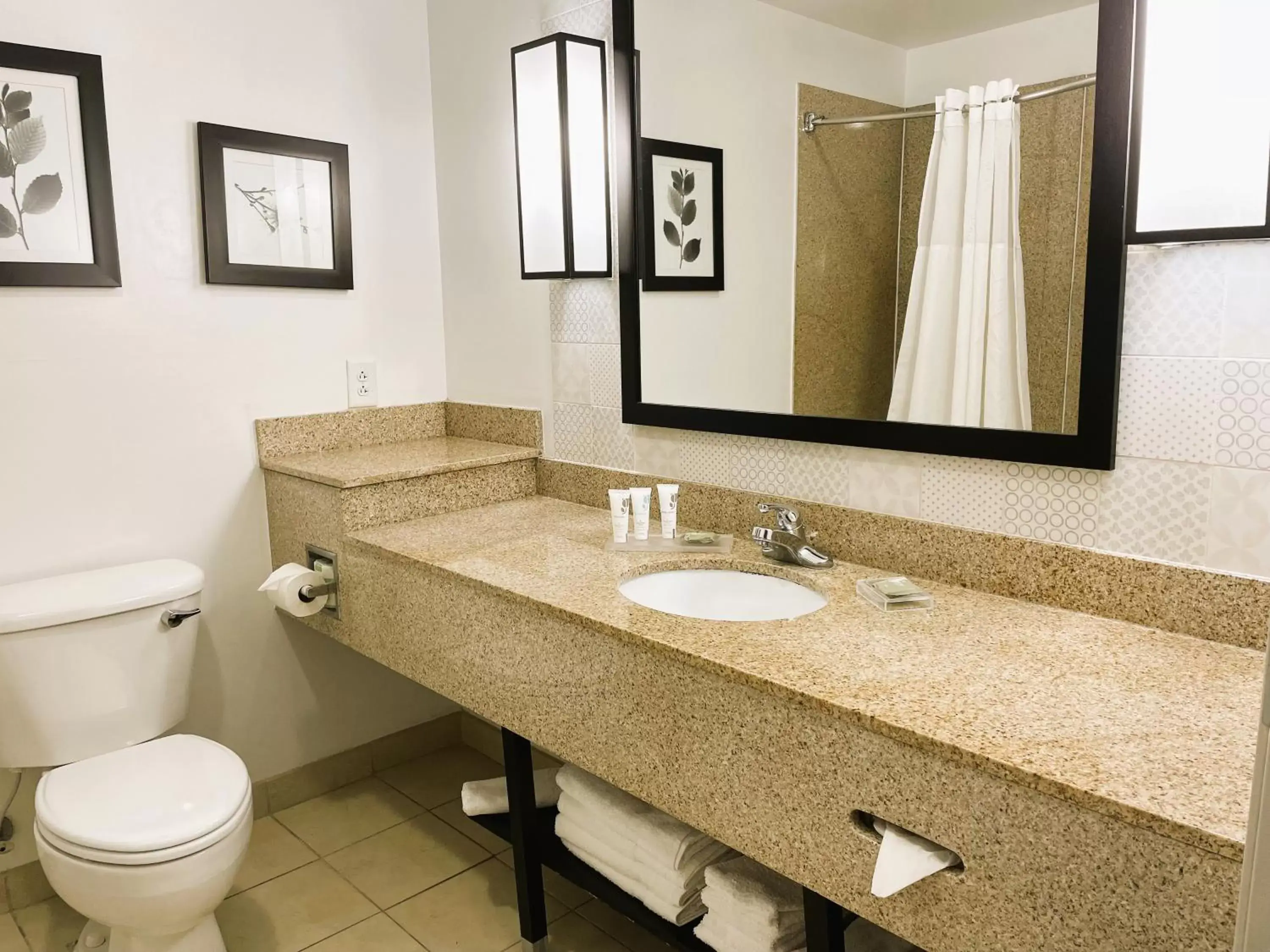 Bathroom in Country Inn & Suites by Radisson, Albany, GA