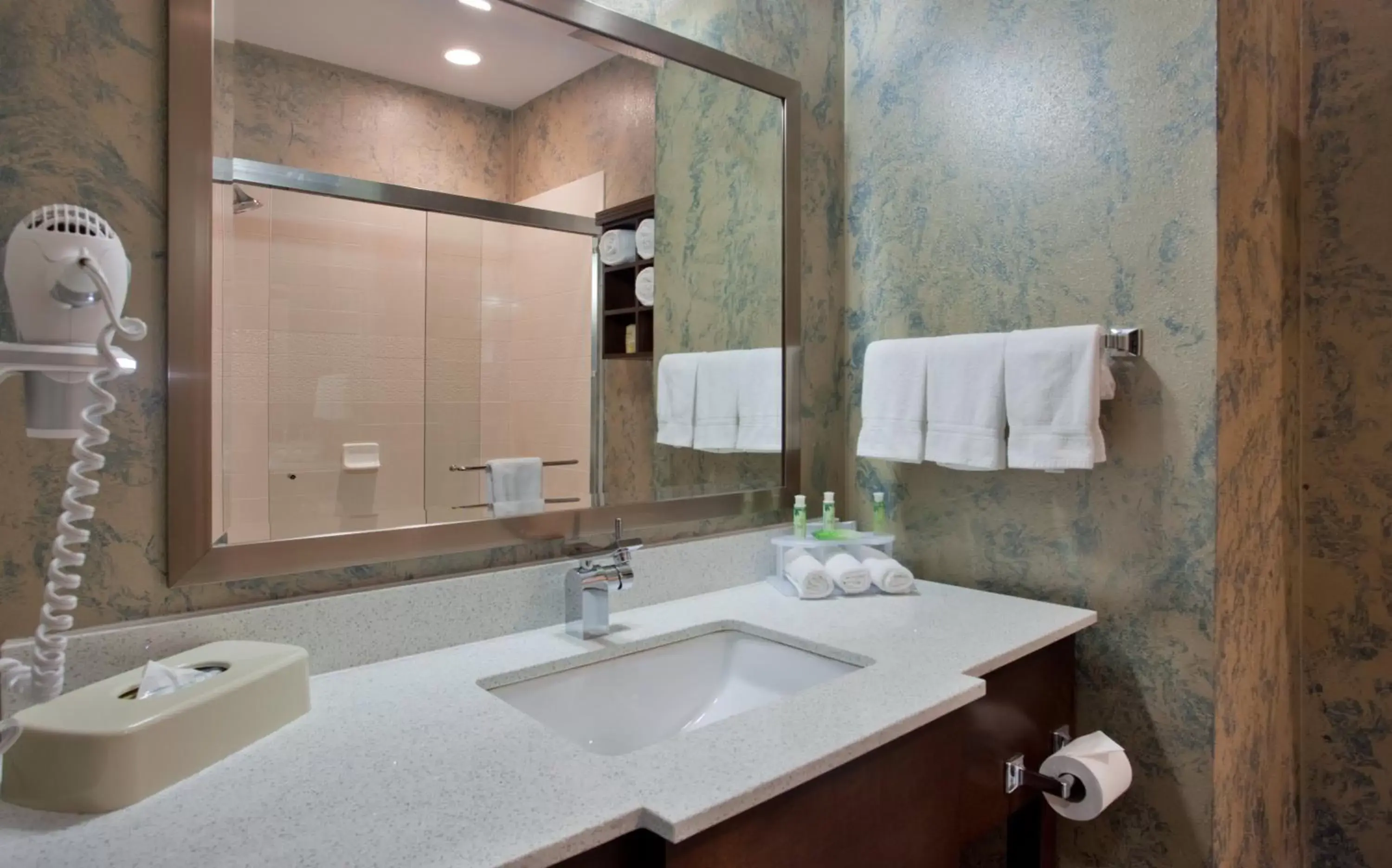 Bathroom in Holiday Inn Express & Suites St Louis Airport, an IHG Hotel