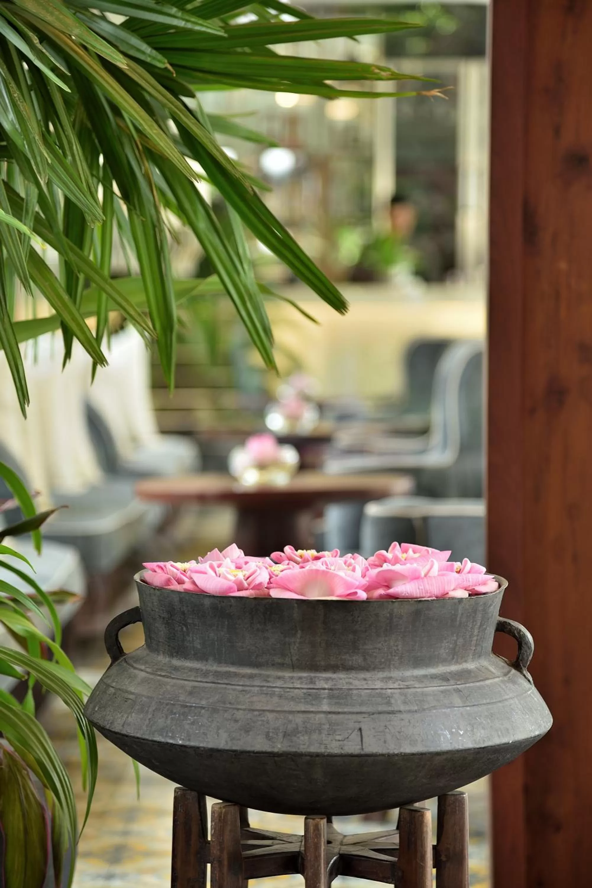 Property building in Shintana Saya La Maison