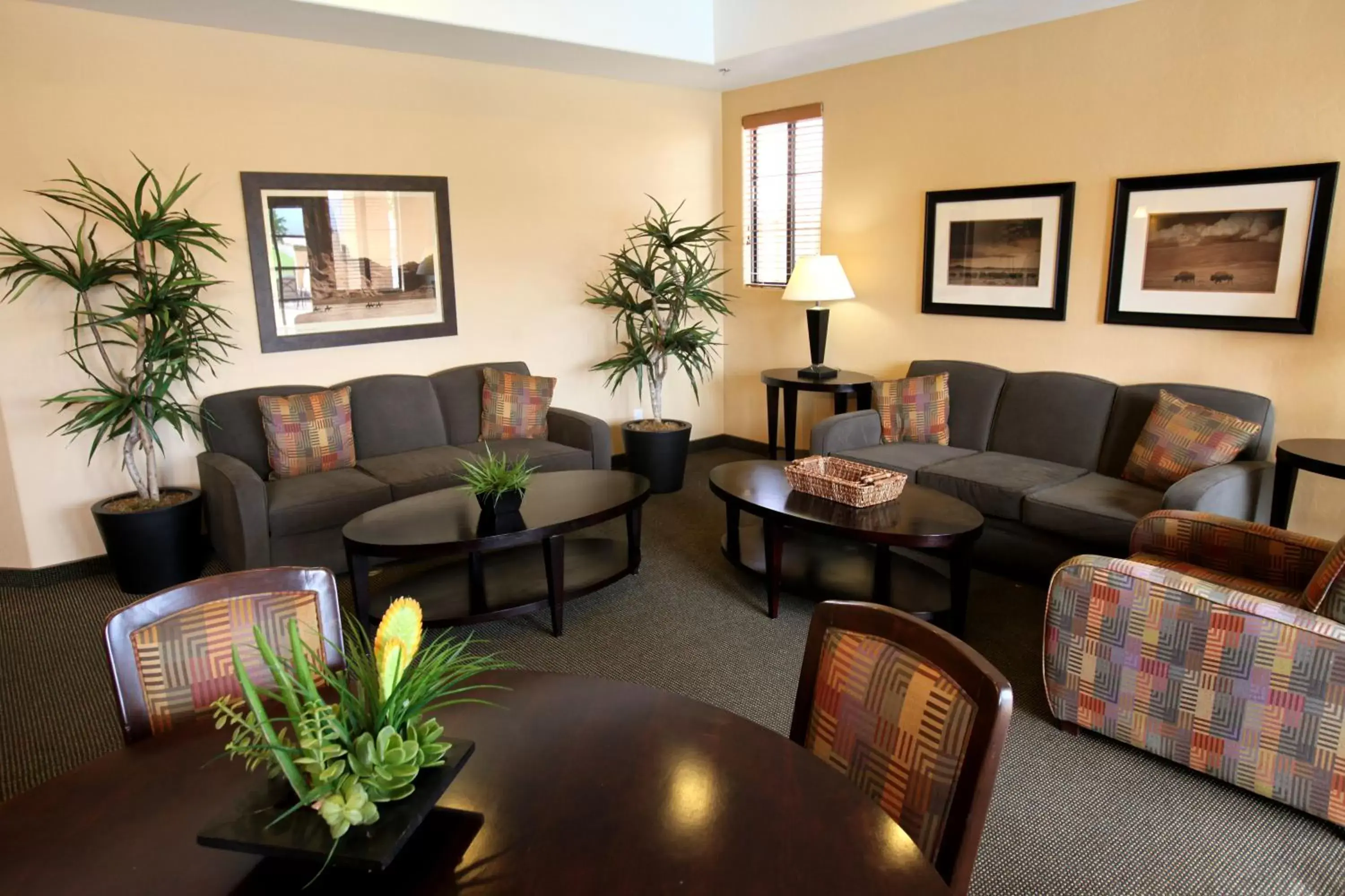 Communal lounge/ TV room, Seating Area in Highlands Resort at Verde Ridge
