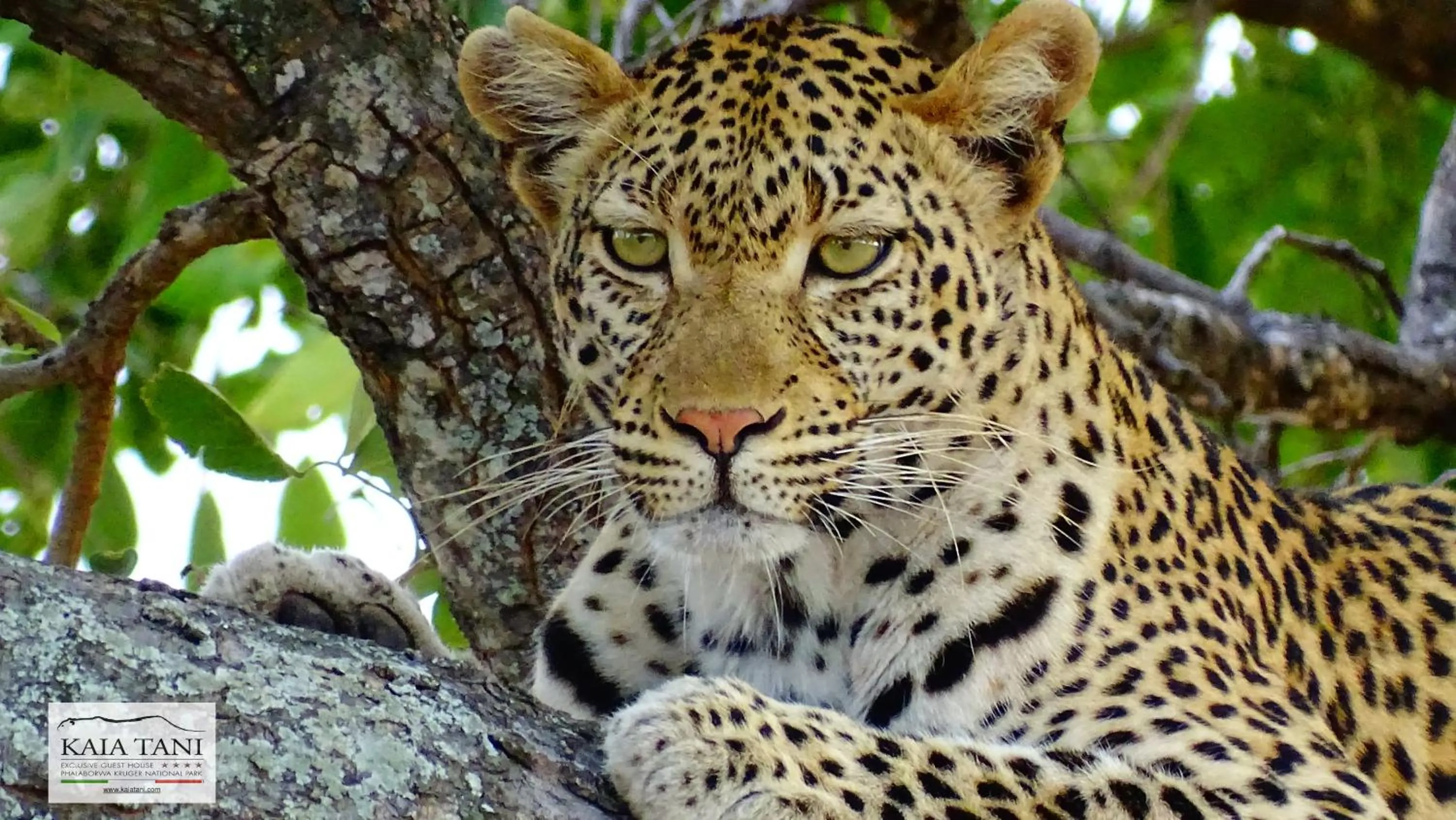 Activities in Kaia Tani Exclusive Guesthouse