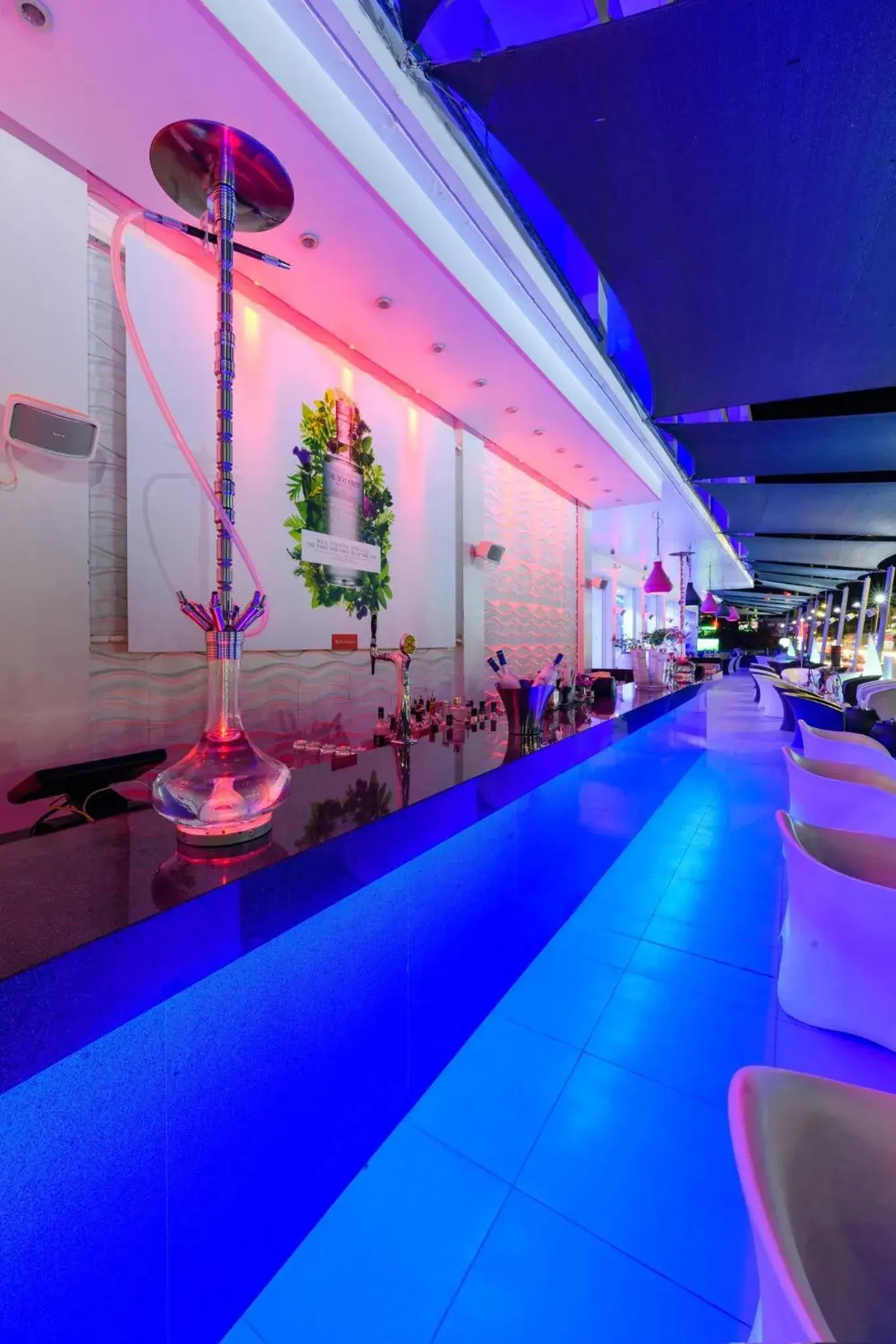 Lounge or bar, Swimming Pool in River Rock Hotel