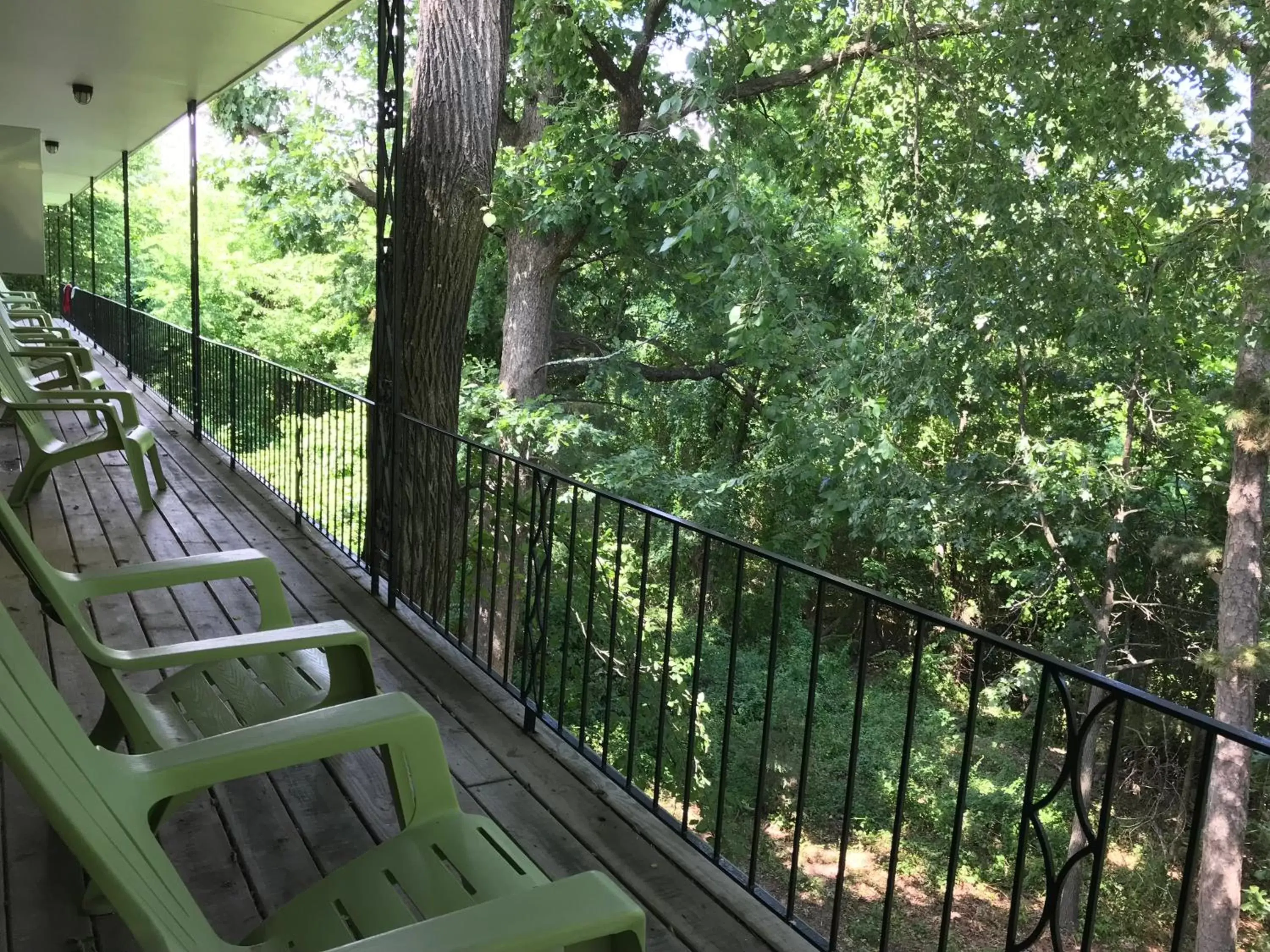 View (from property/room), Balcony/Terrace in The Wanderoo Lodge