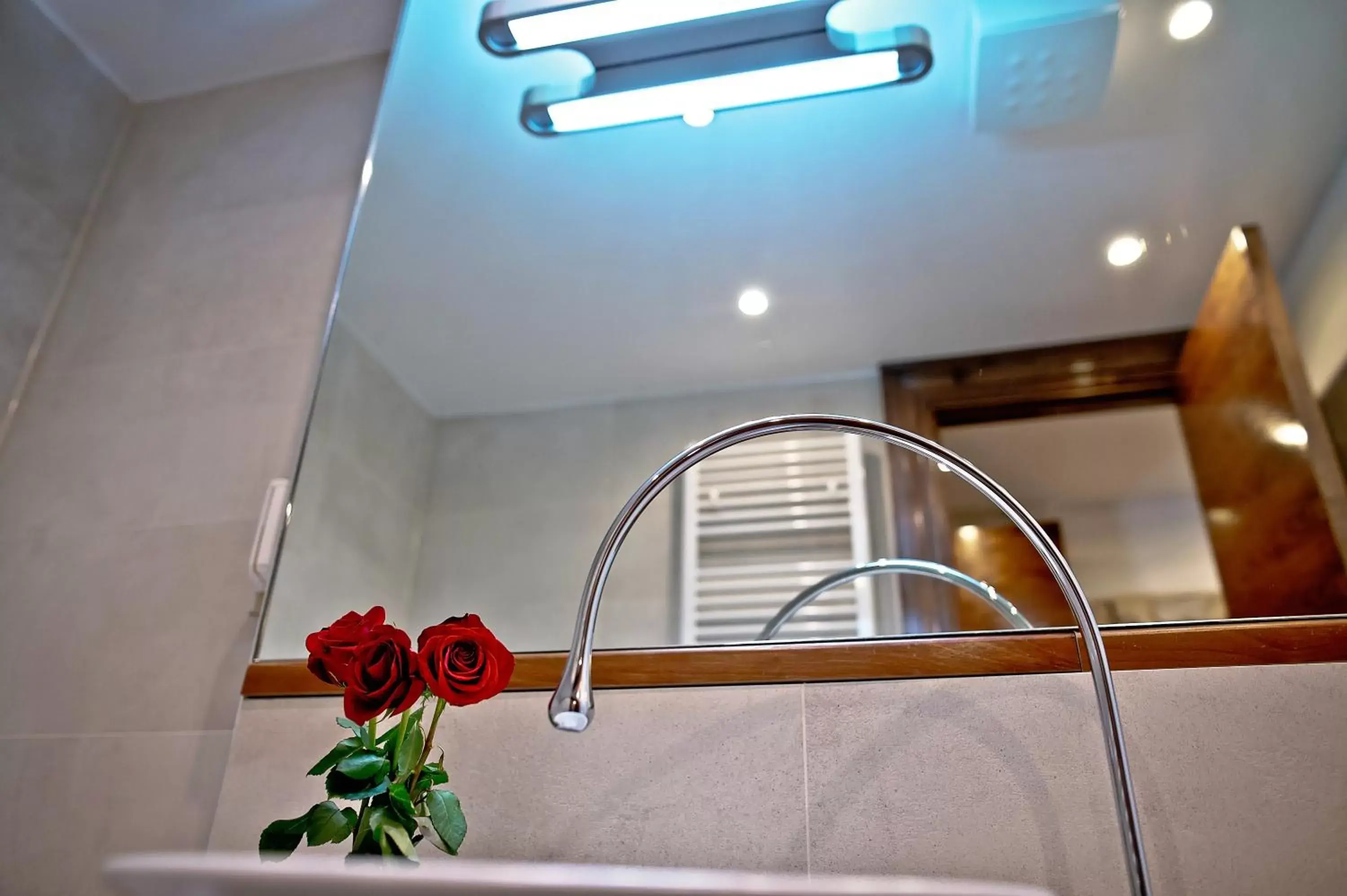 Decorative detail, Bathroom in Jupiter Luxury Hotel