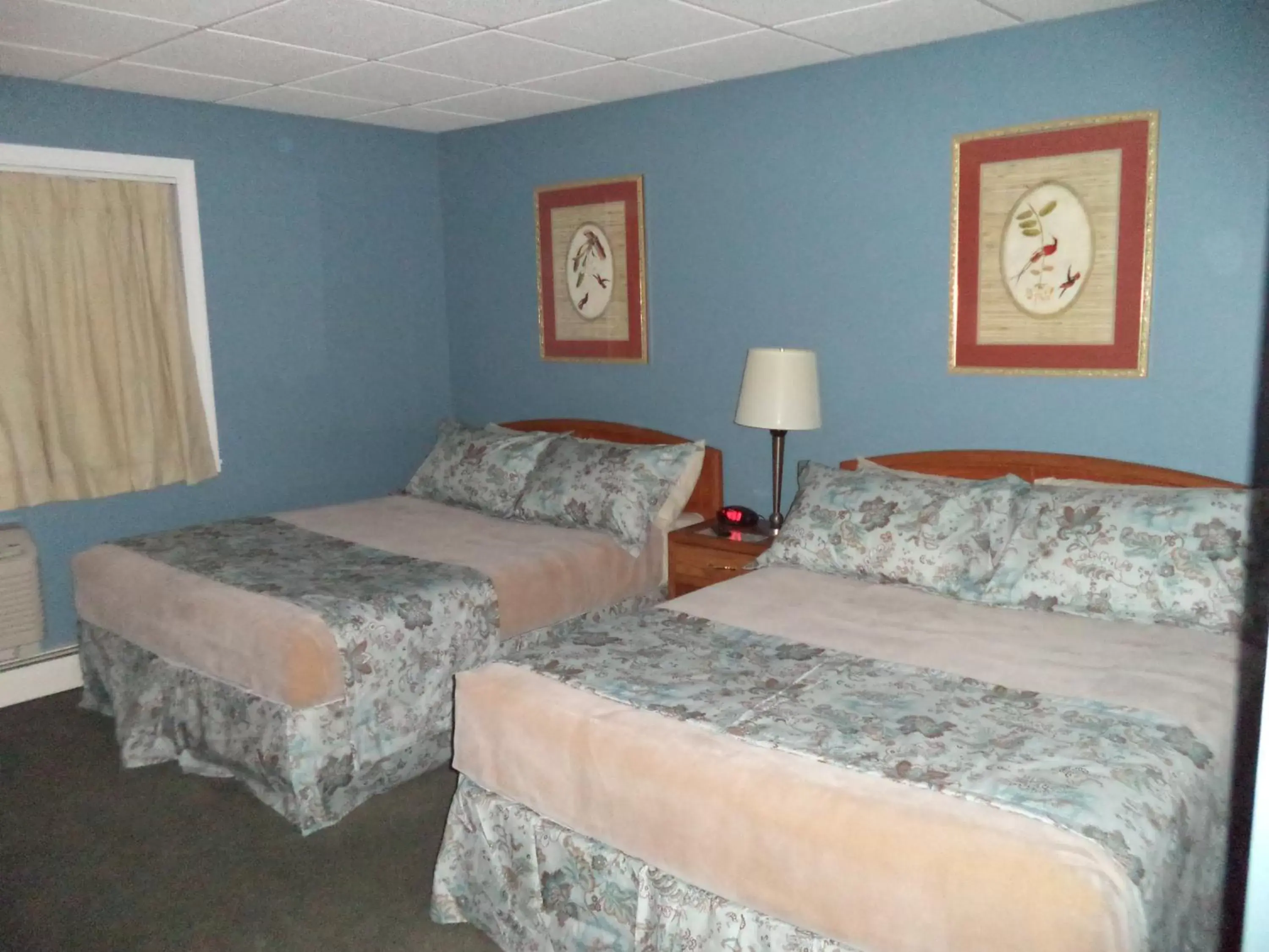 Double Room in Colonial Valley Motel