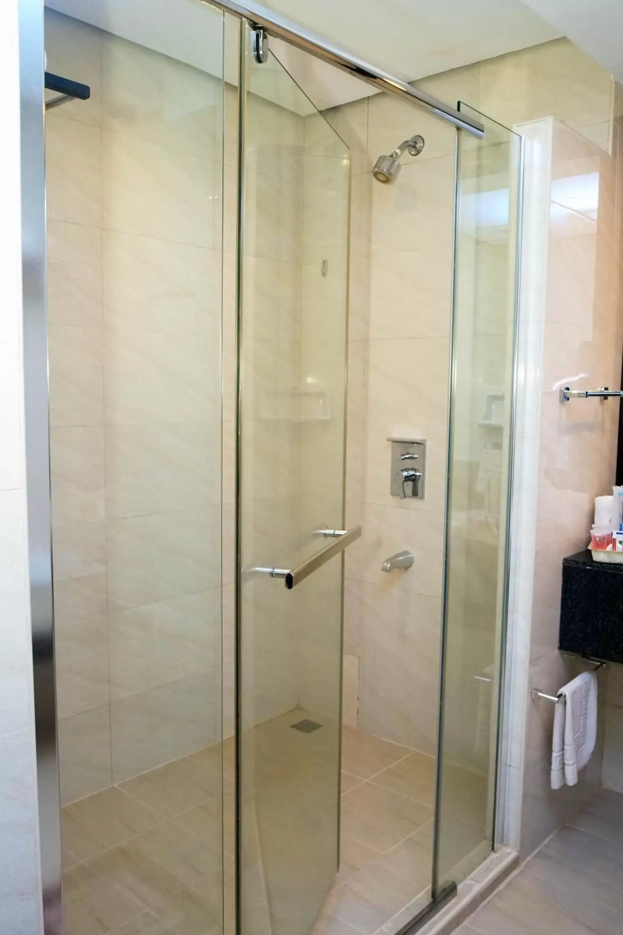 Shower, Bathroom in Coron Westown Resort