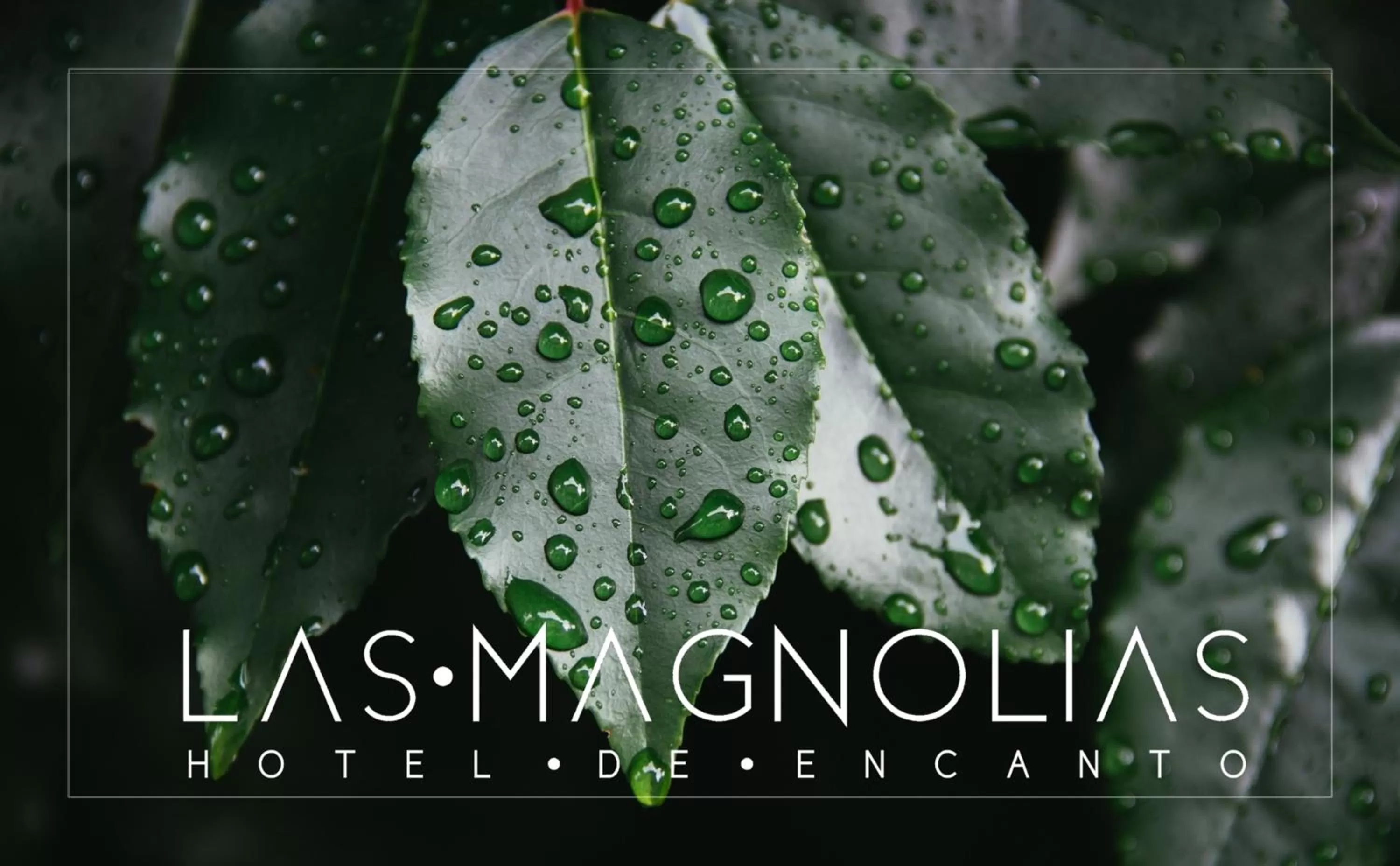 Las Magnolias Hotel Boutique