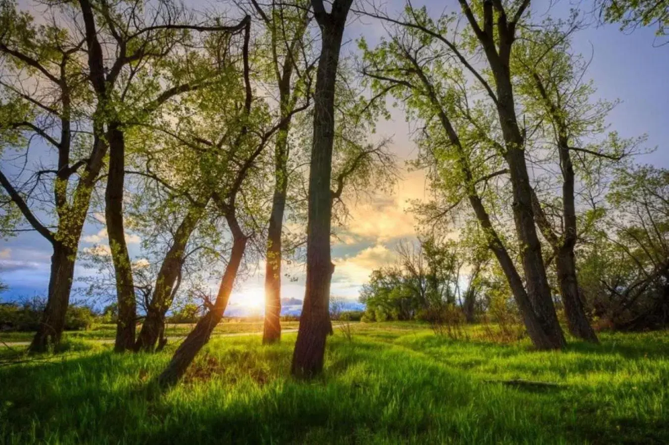 Spring, Natural Landscape in Ascent on Main