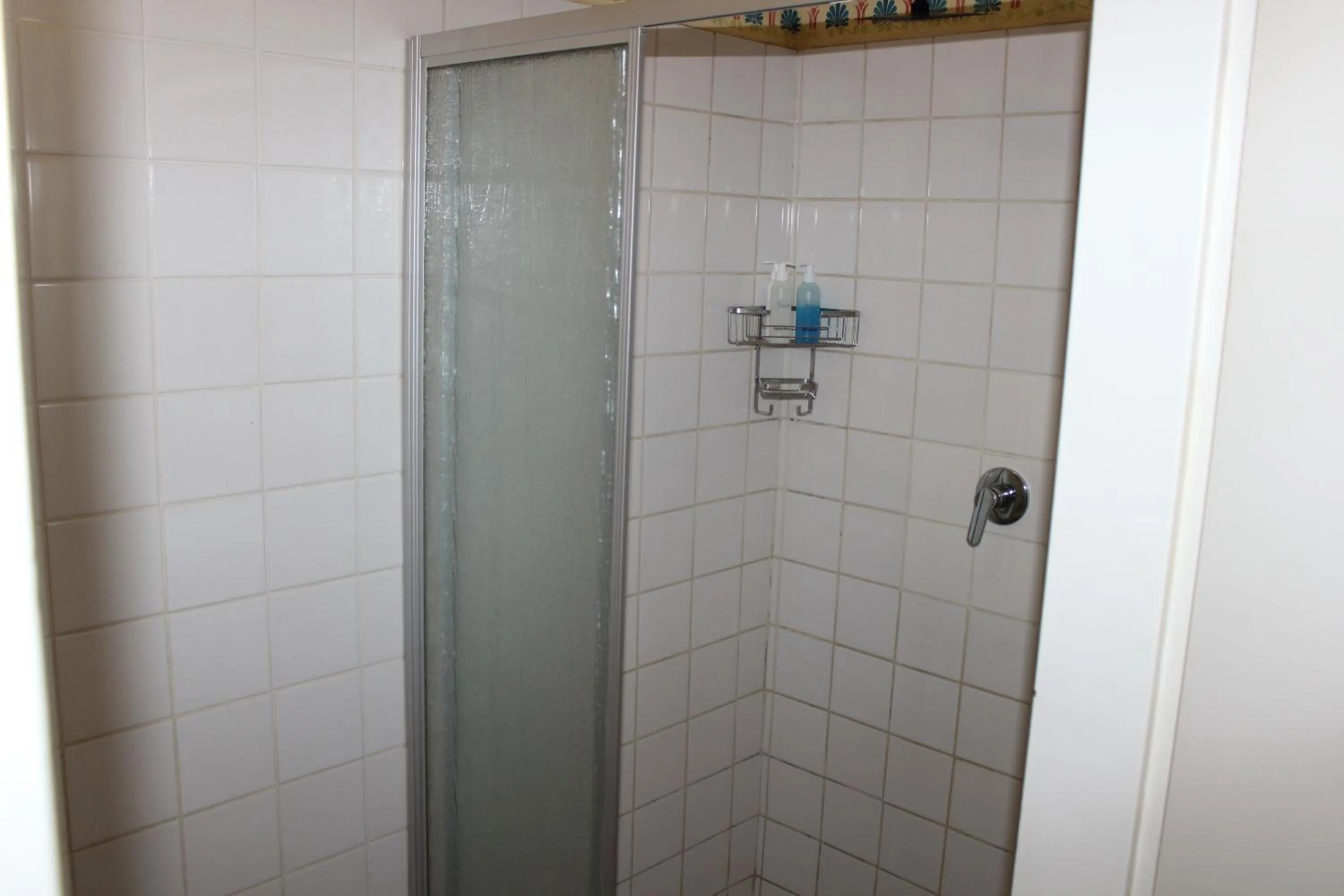 Shower in Purple Olive Guest House