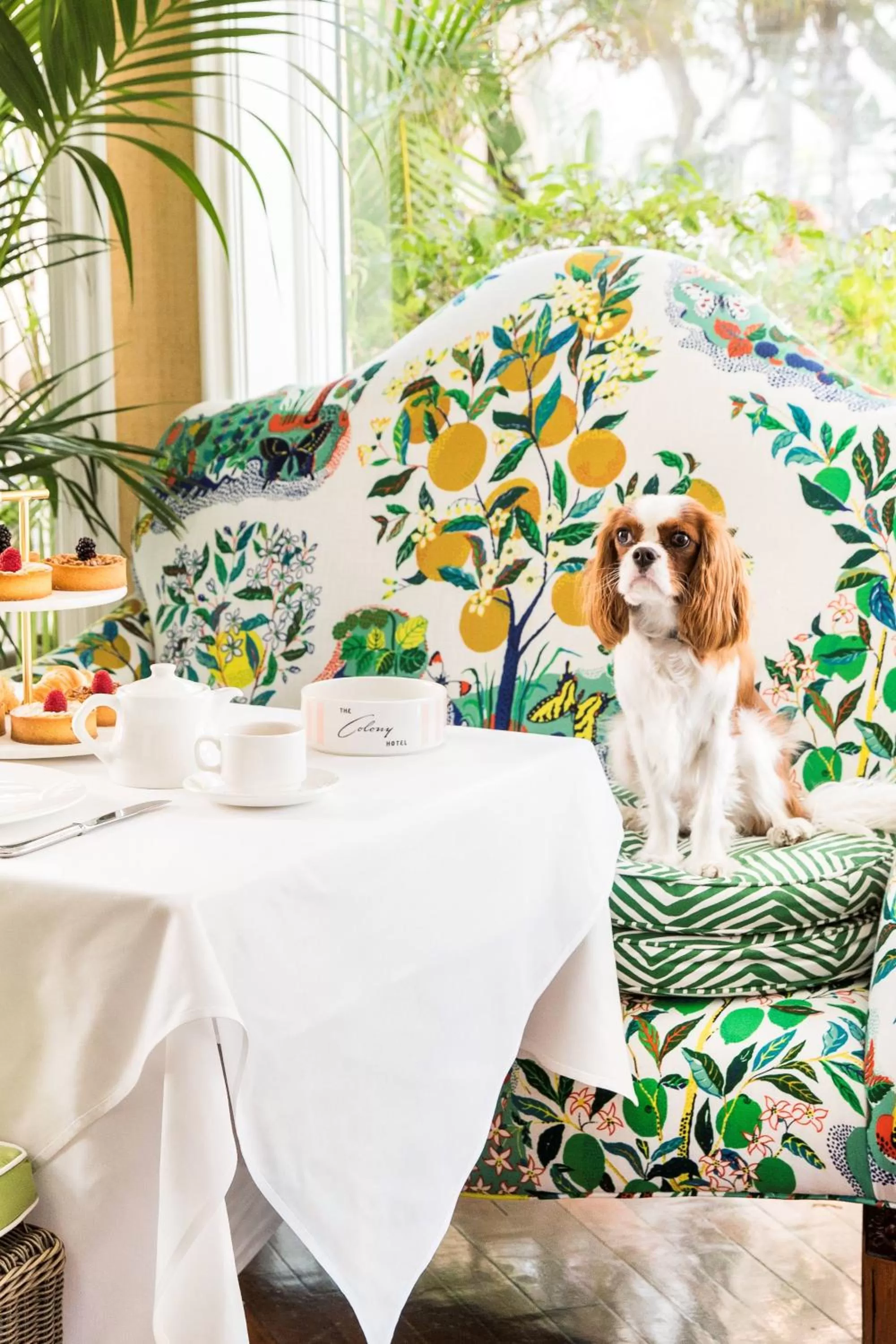 Restaurant/places to eat in The Colony Hotel