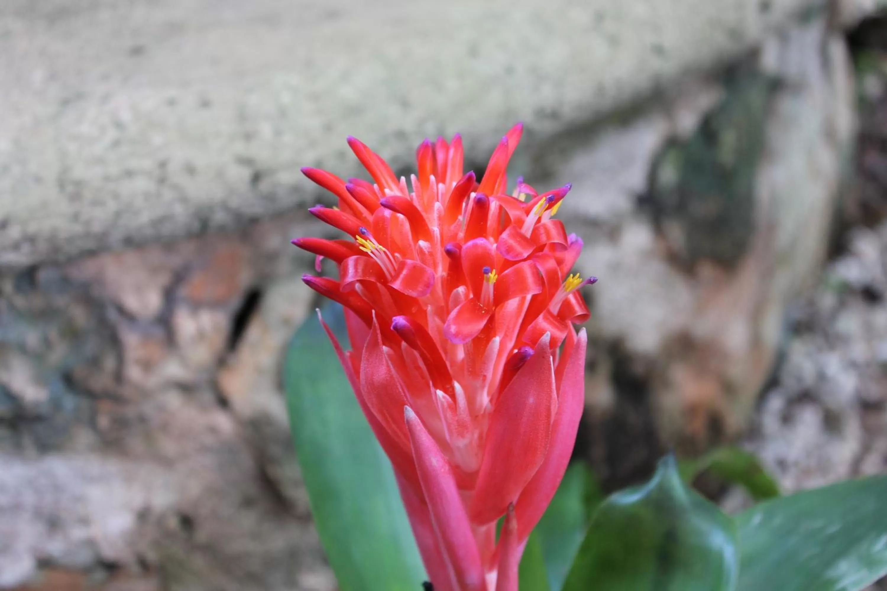 Other in Casa Quetzal Hotel