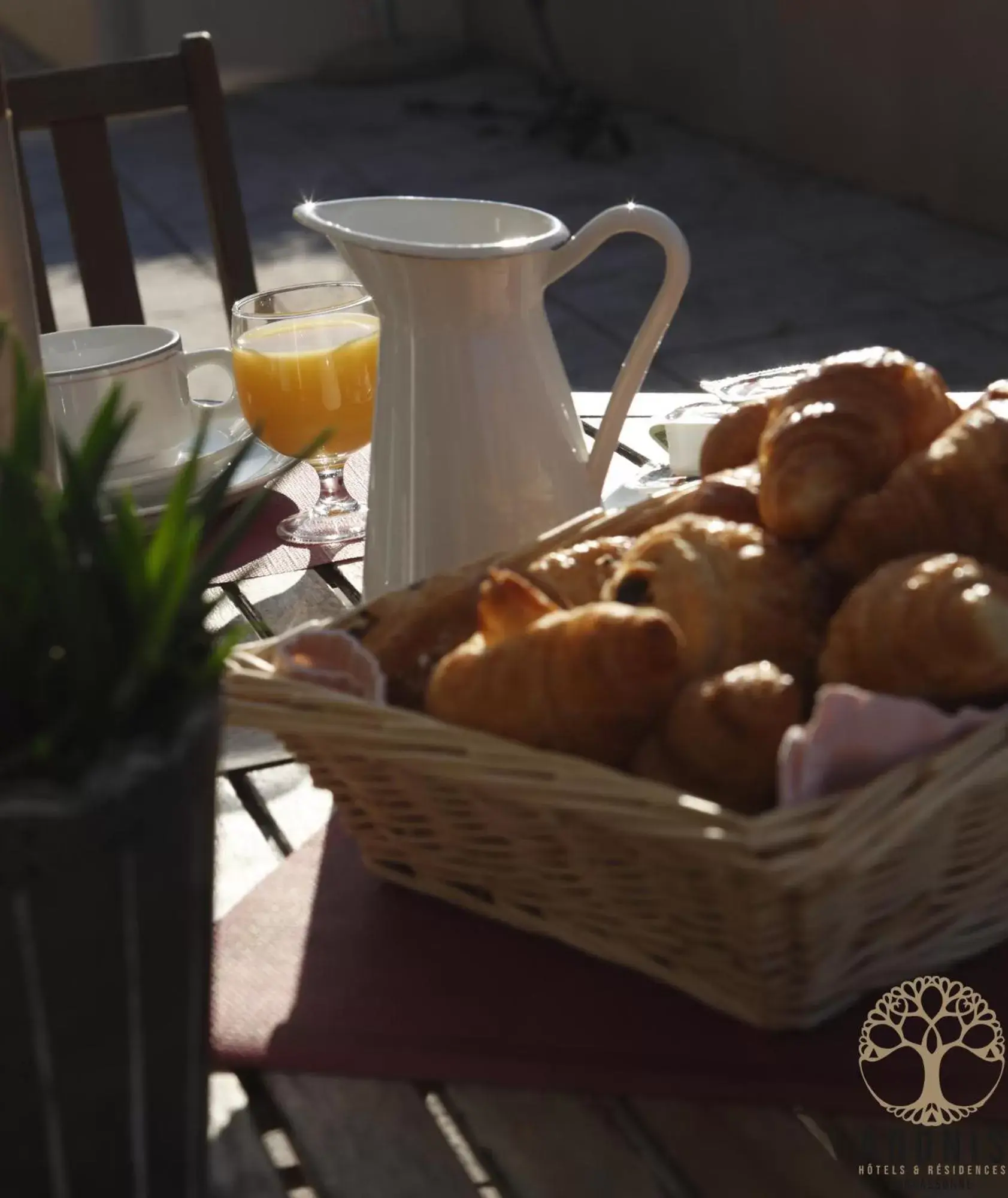 Breakfast in Adonis Carcassonne